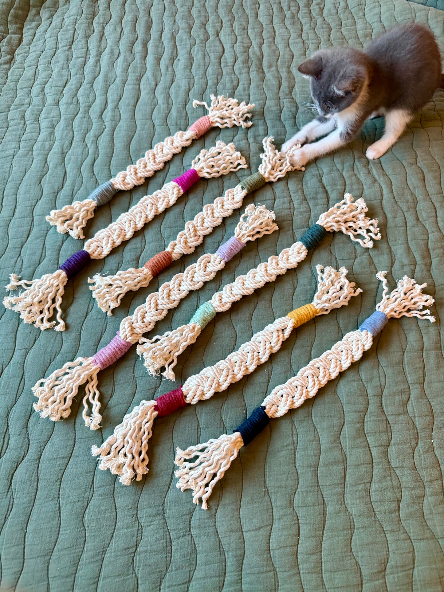 Cat/Small Dog Toys
