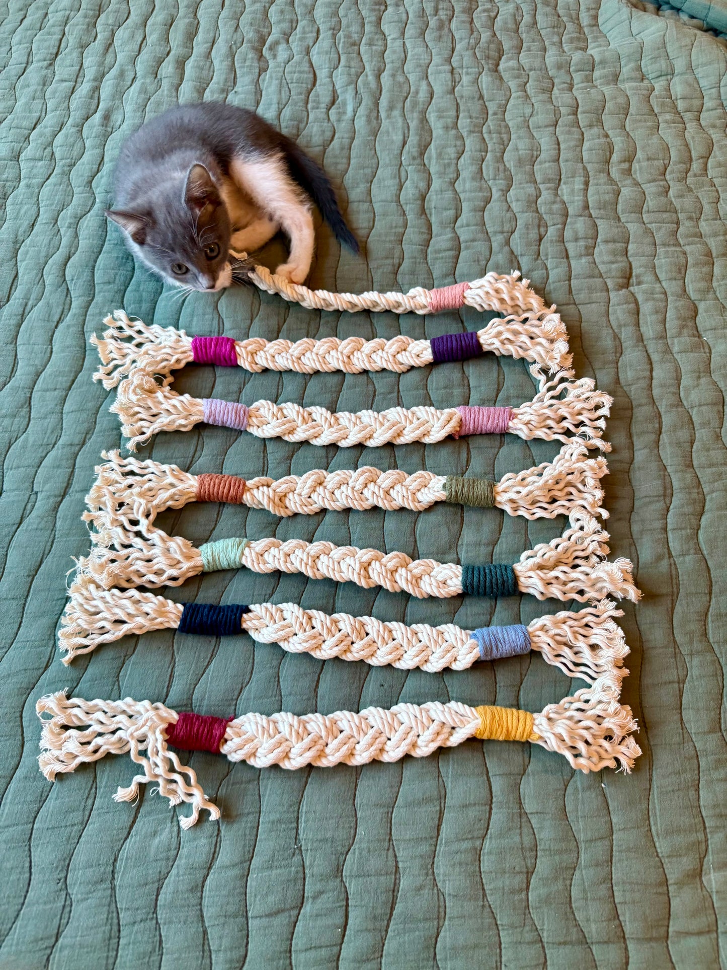 Cat/Small Dog Toys