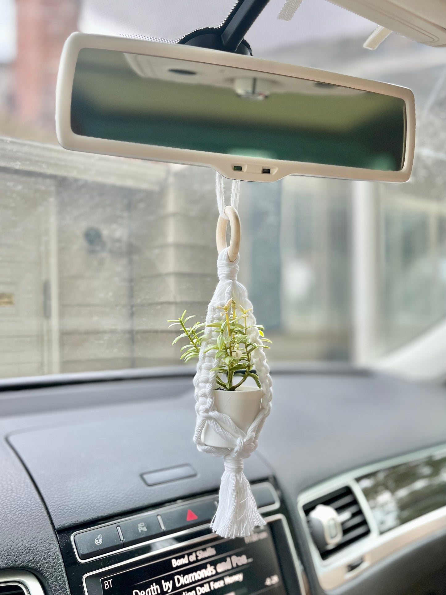 Plant Car Charms