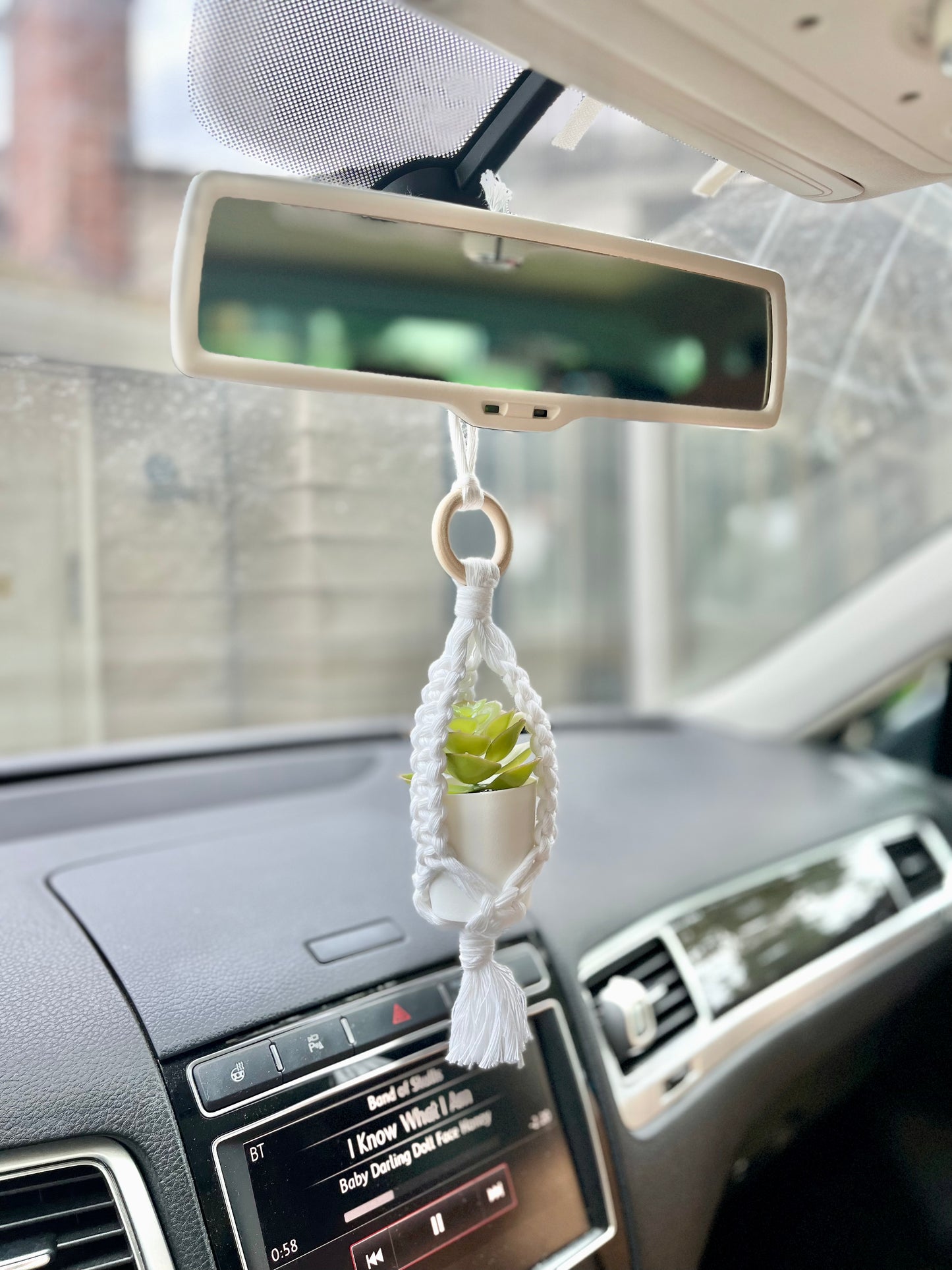 Plant Car Charms