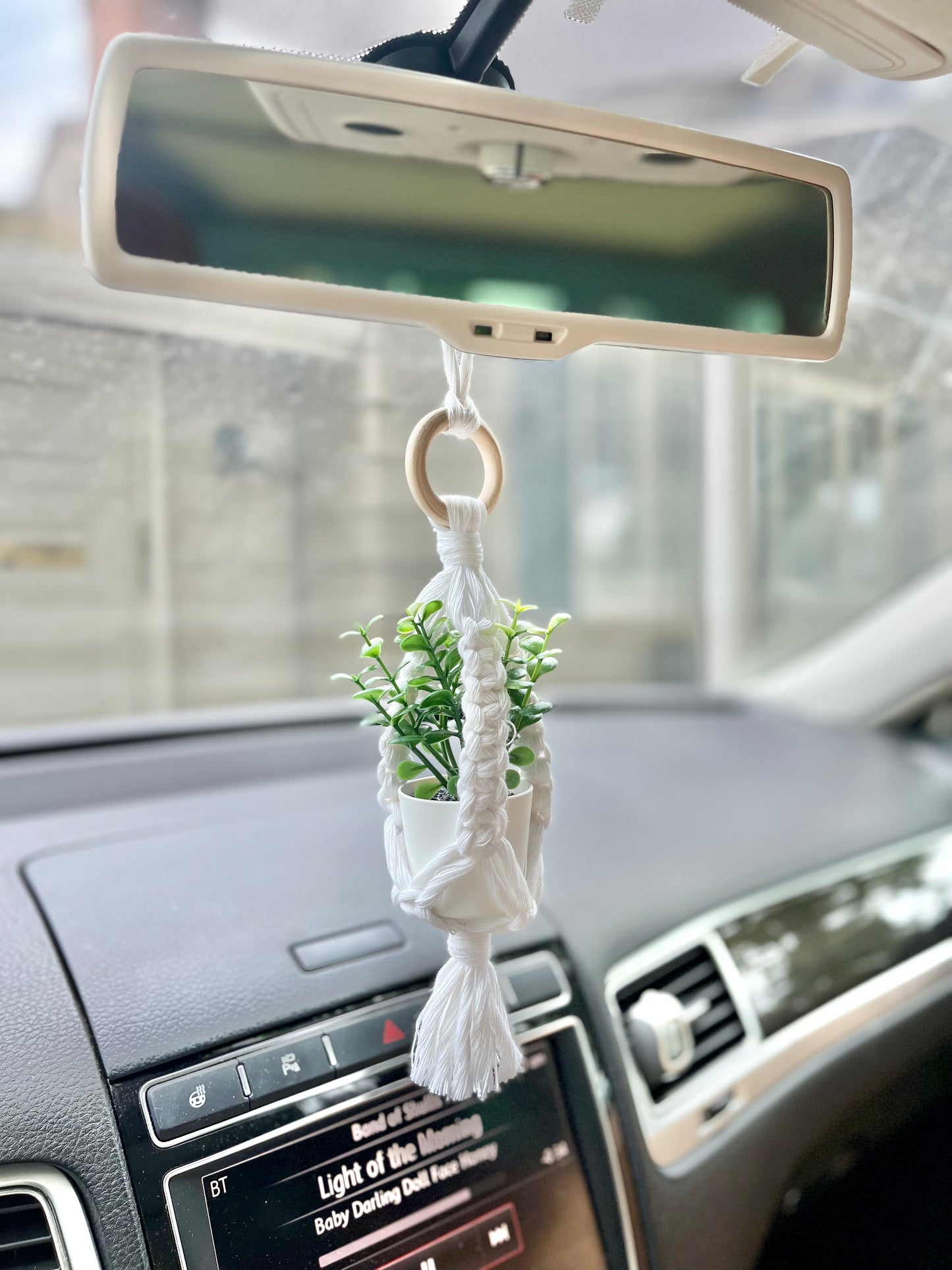 Plant Car Charms