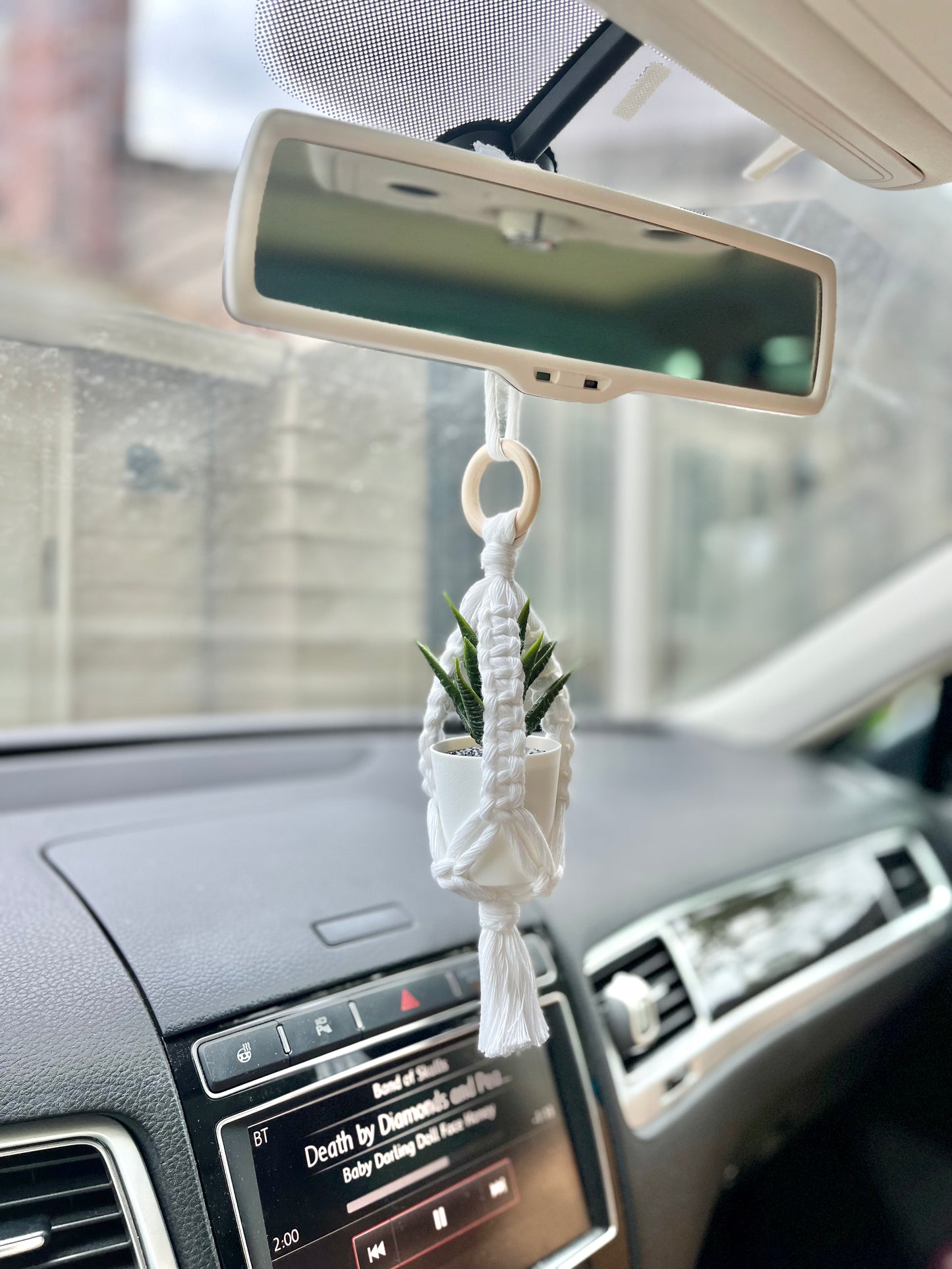 Plant Car Charms