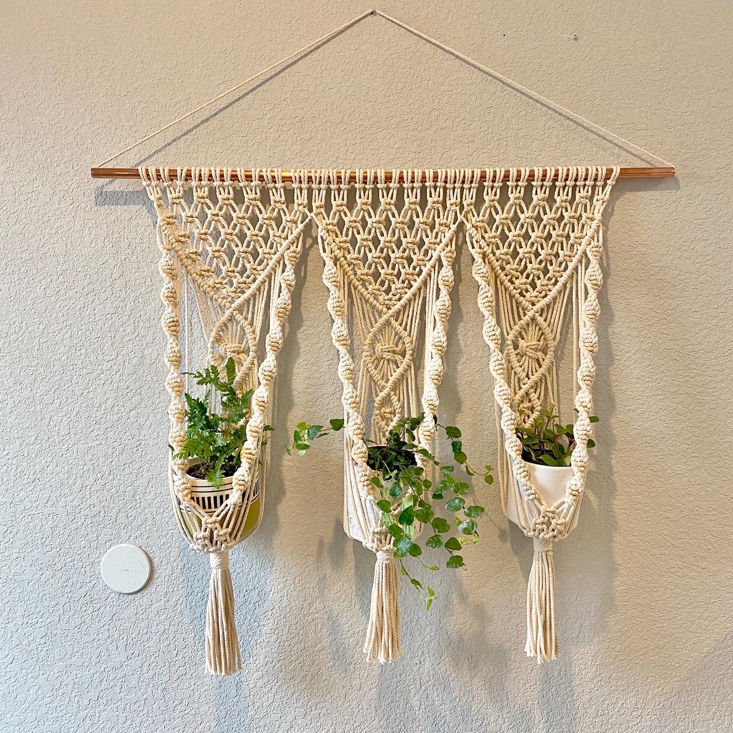 Multi Plant Hanger