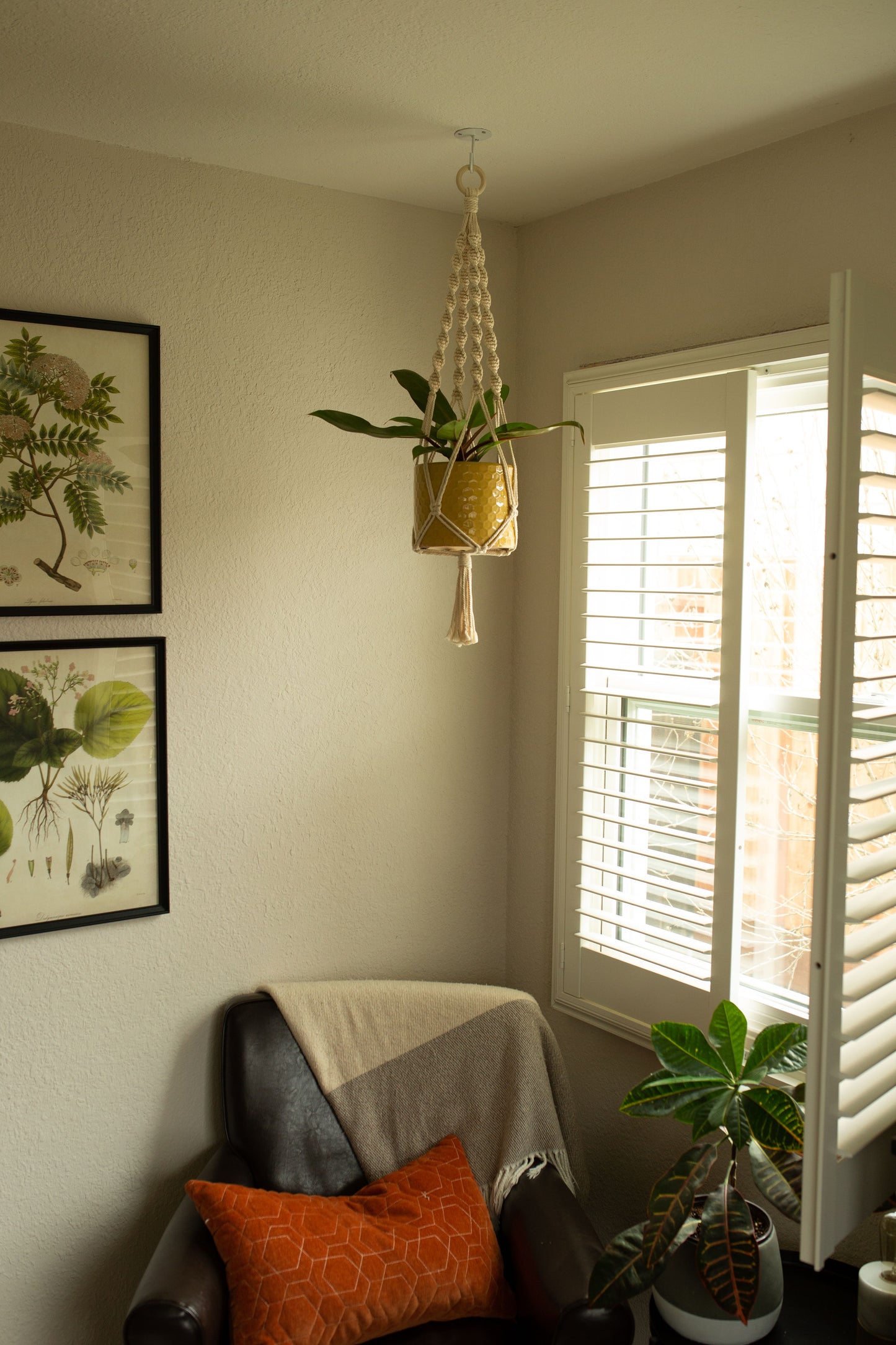 “Artemis” Macramé Plant Hanger