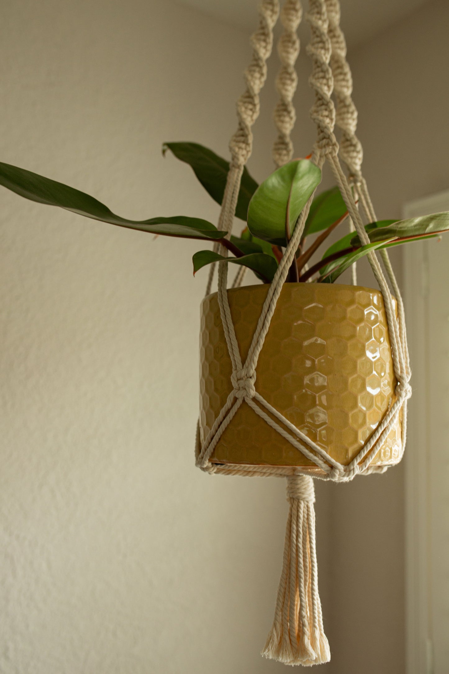 “Artemis” Macramé Plant Hanger