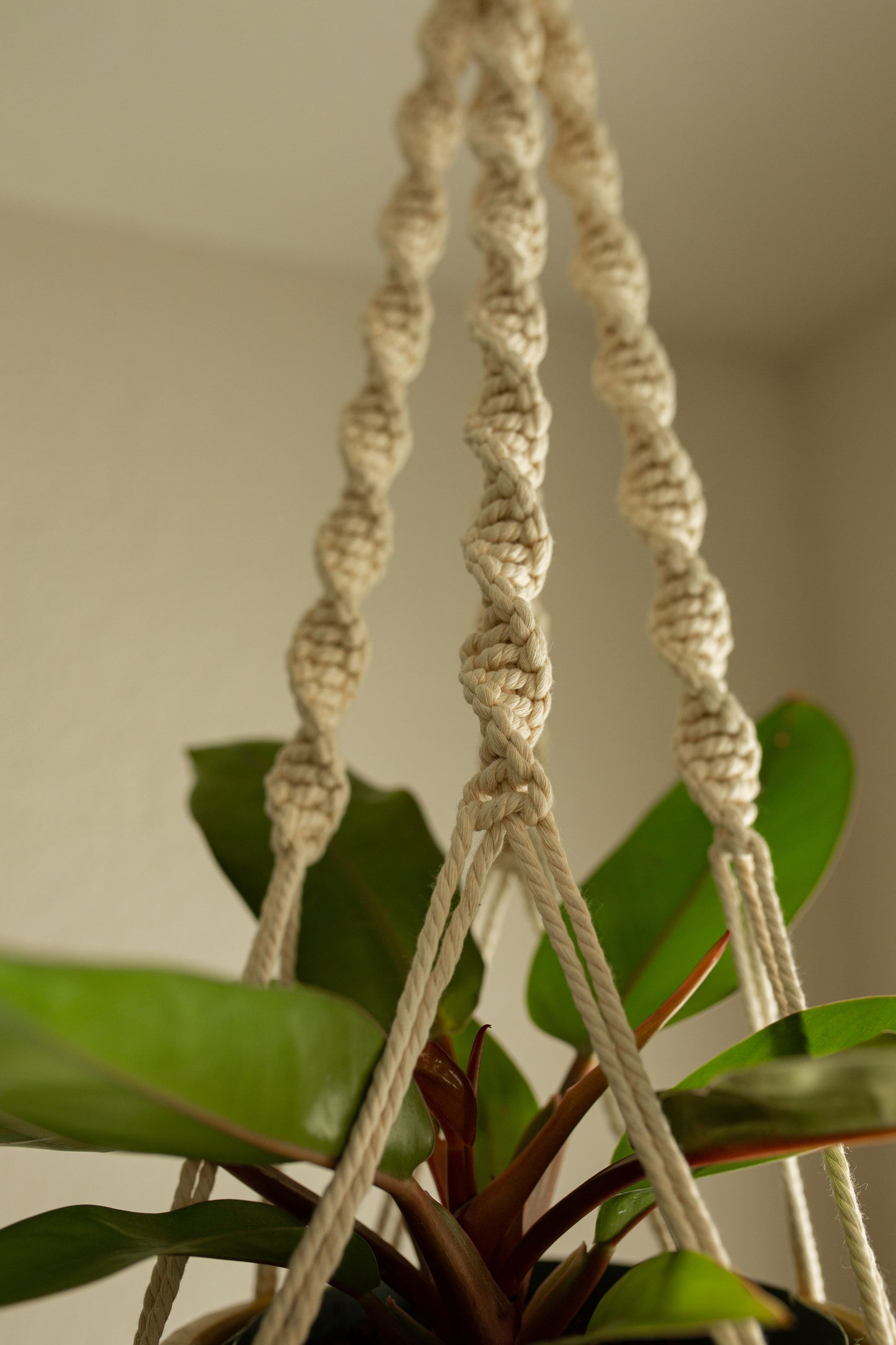 “Artemis” Macramé Plant Hanger