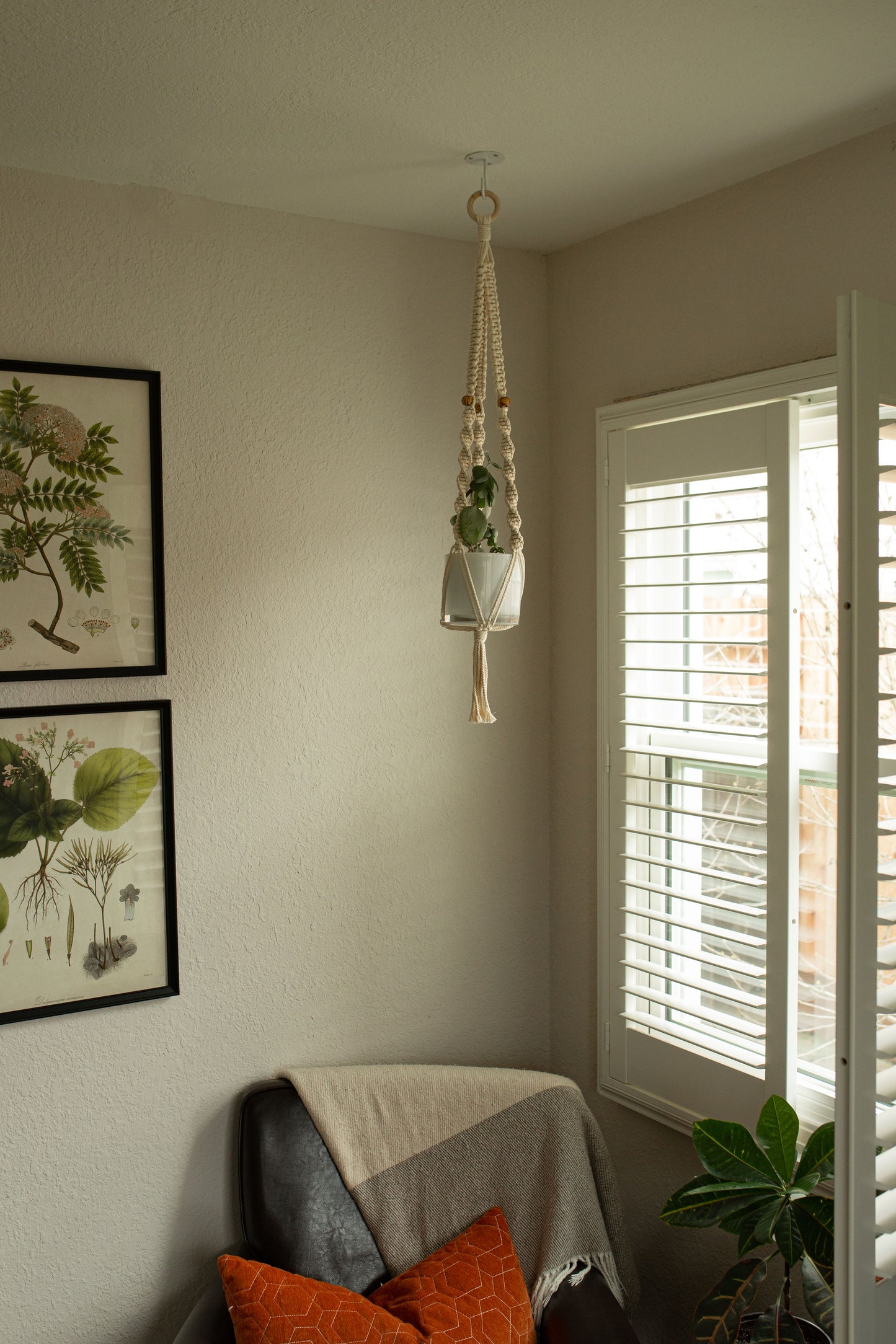 “Ares” Macramé Plant Hanger
