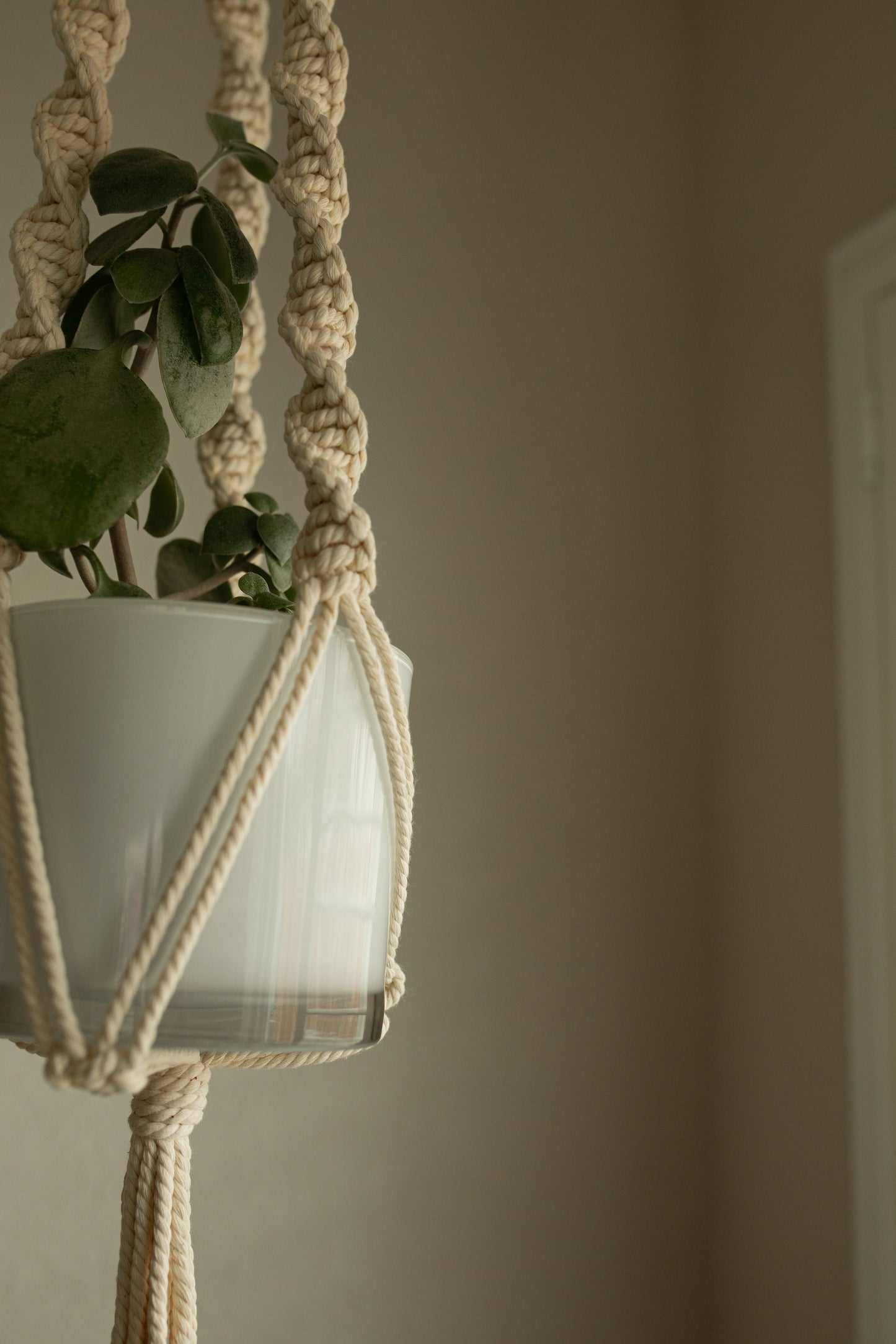 “Ares” Macramé Plant Hanger