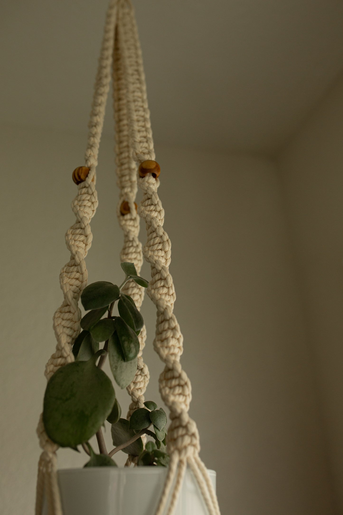 “Ares” Macramé Plant Hanger