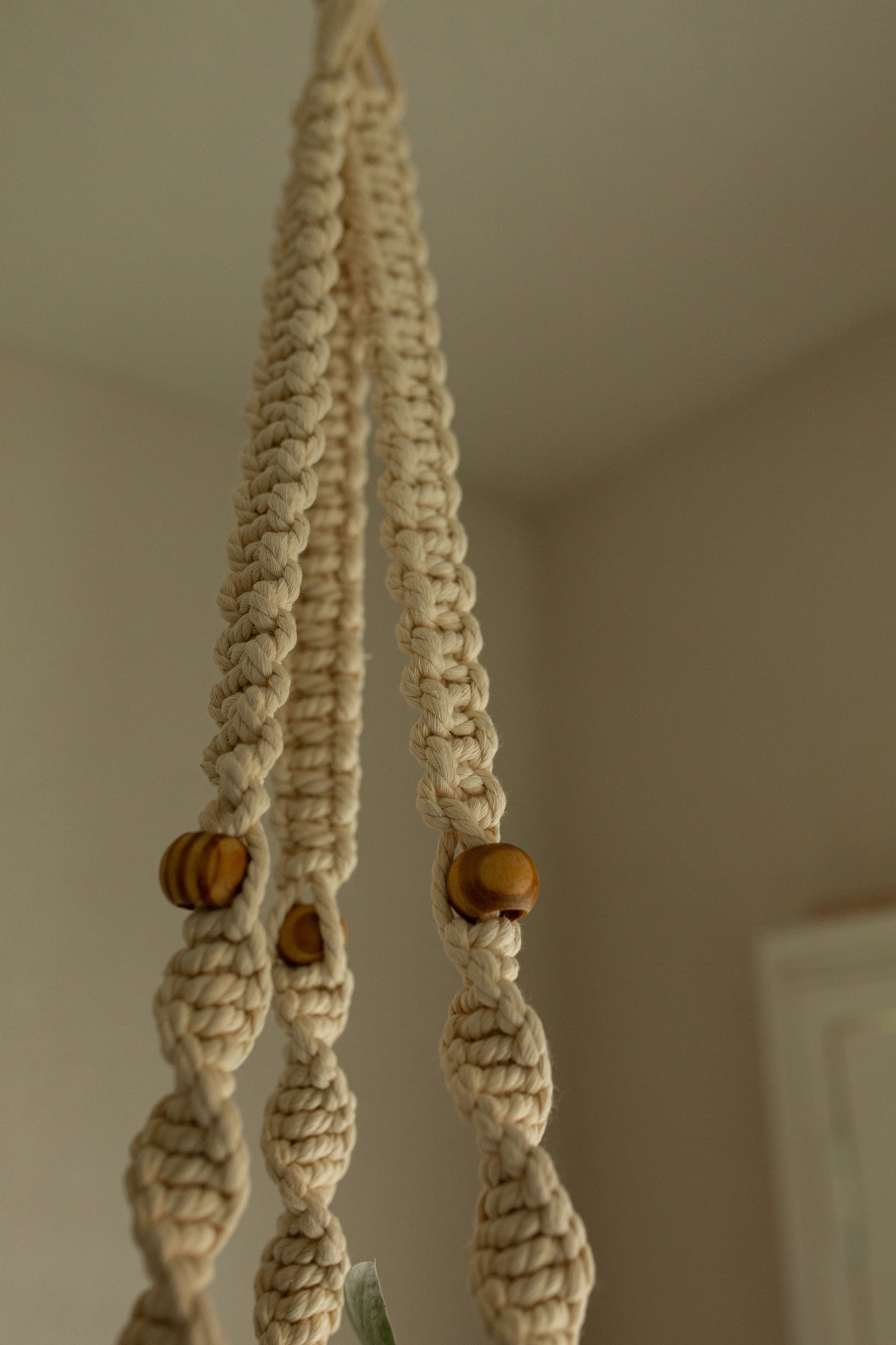 “Ares” Macramé Plant Hanger