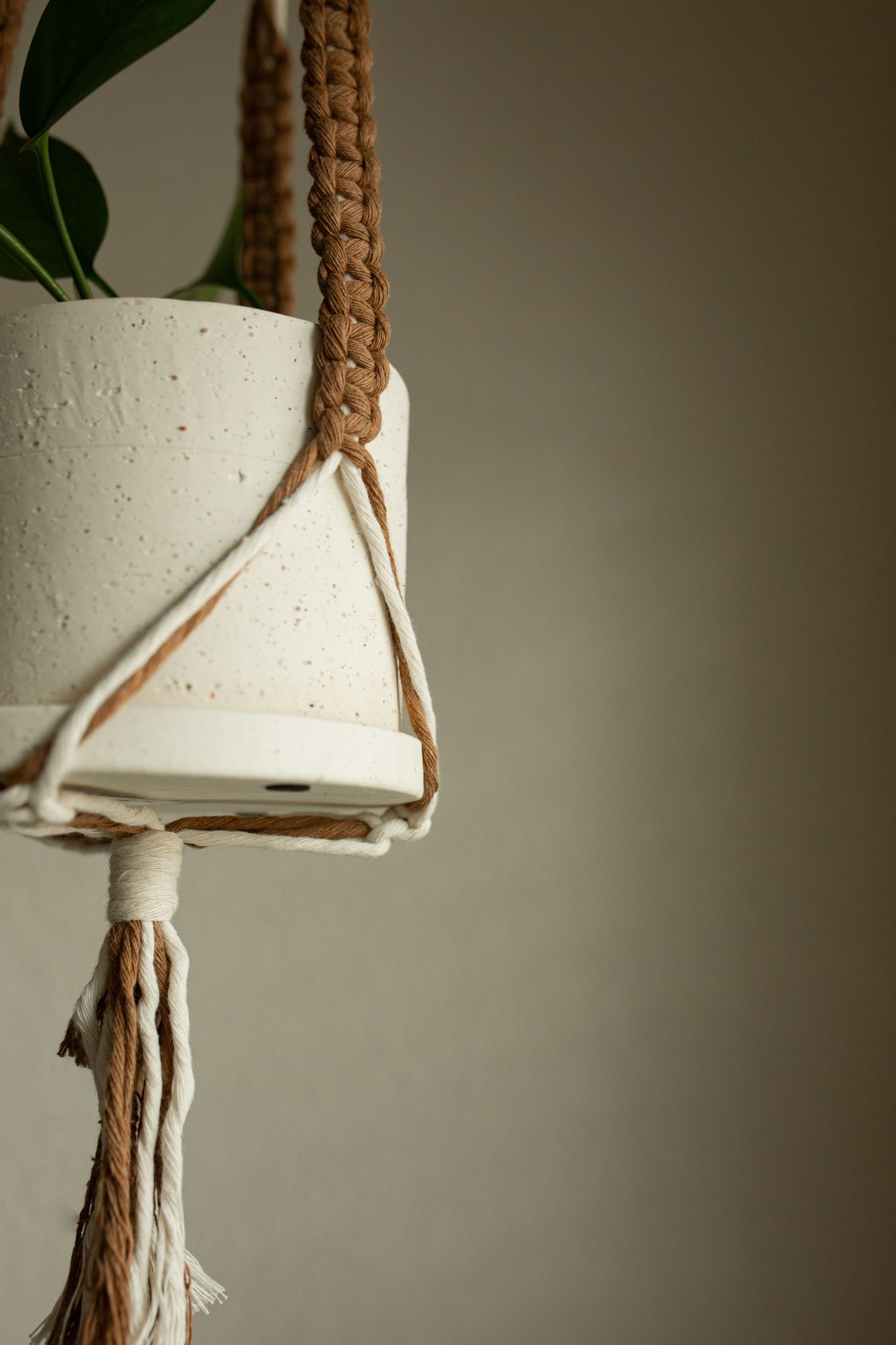 “Circe” Macramé Plant Hanger