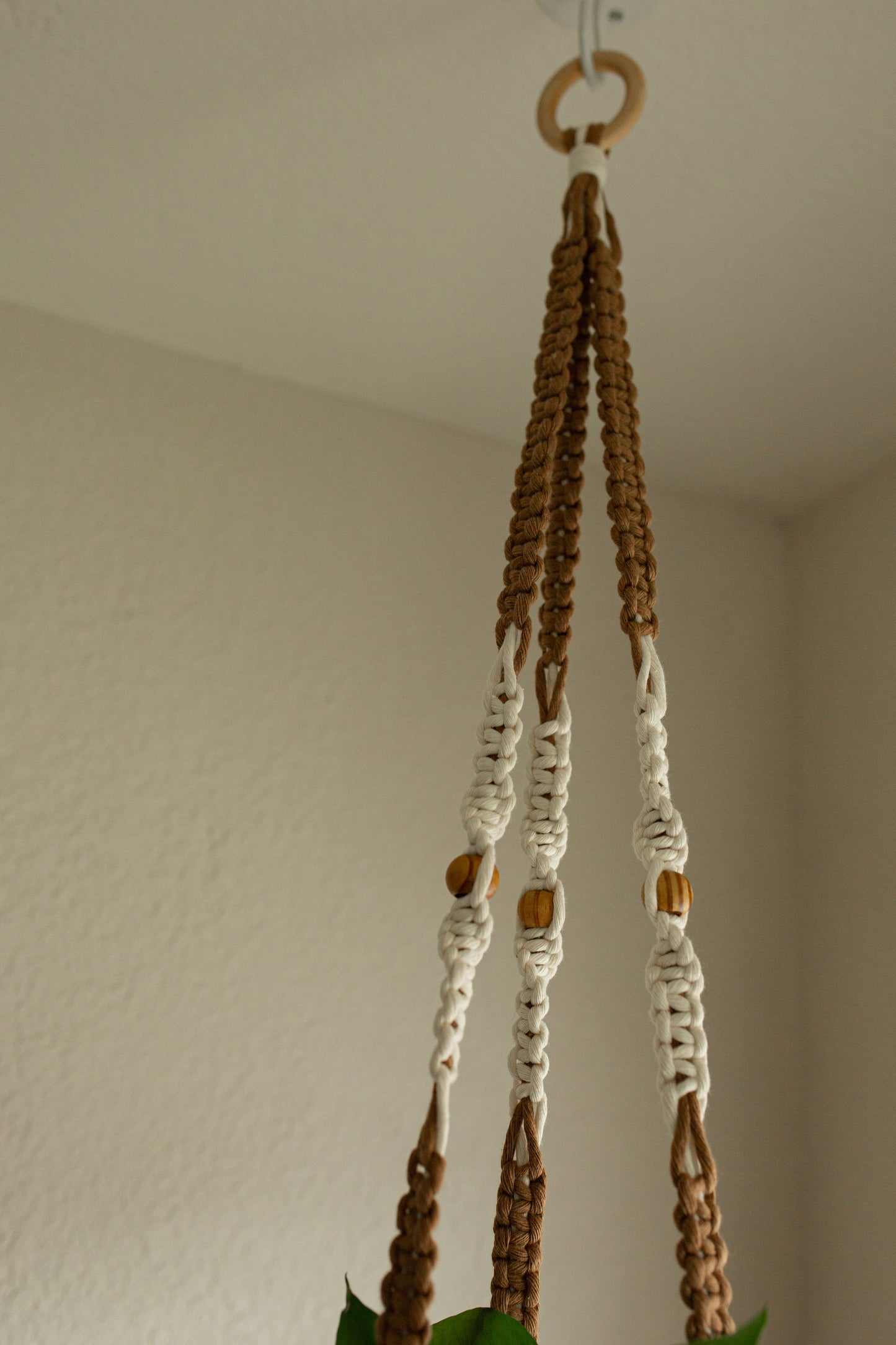 “Circe” Macramé Plant Hanger