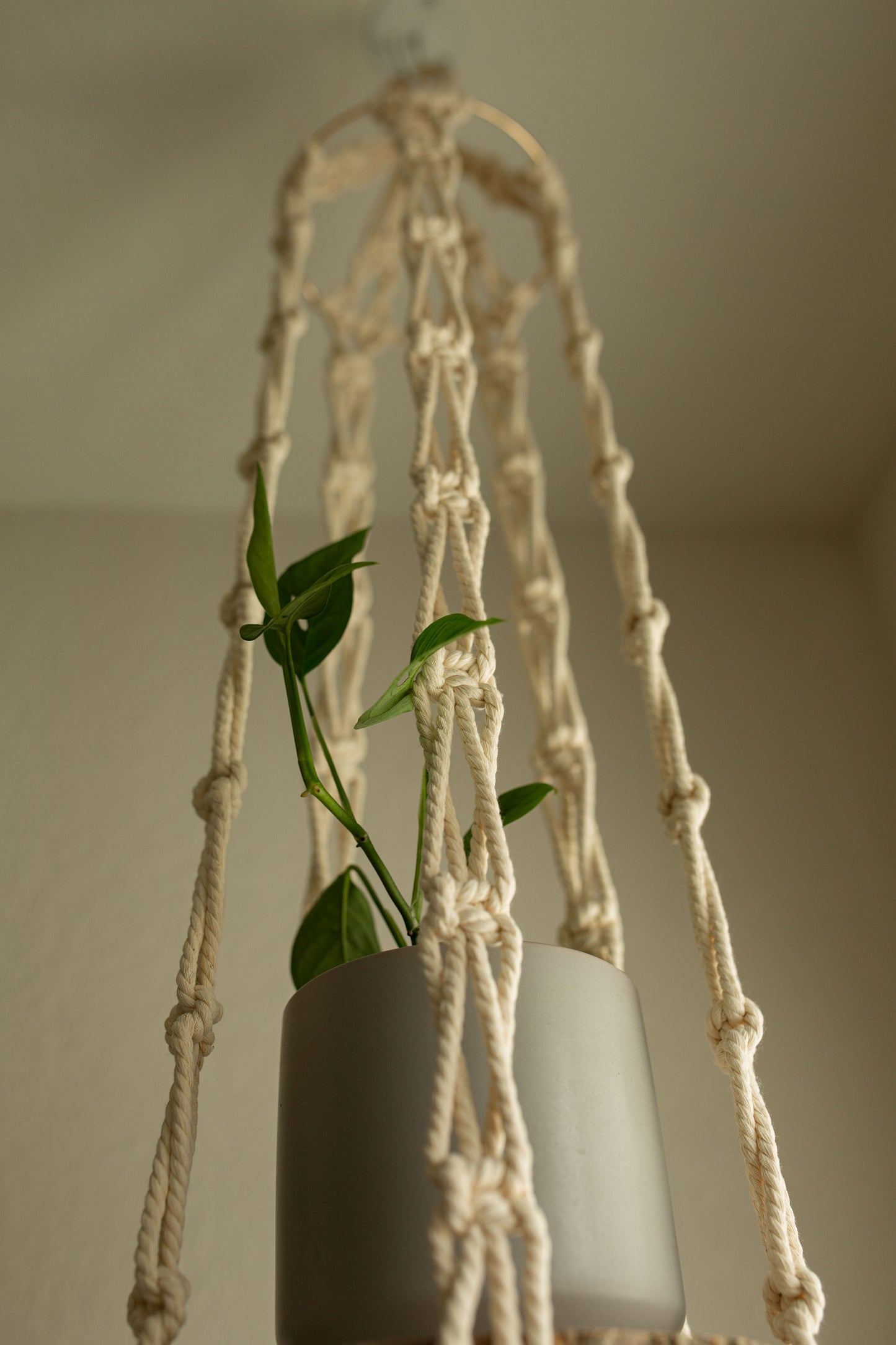 “Hera” Short Plant Hanger