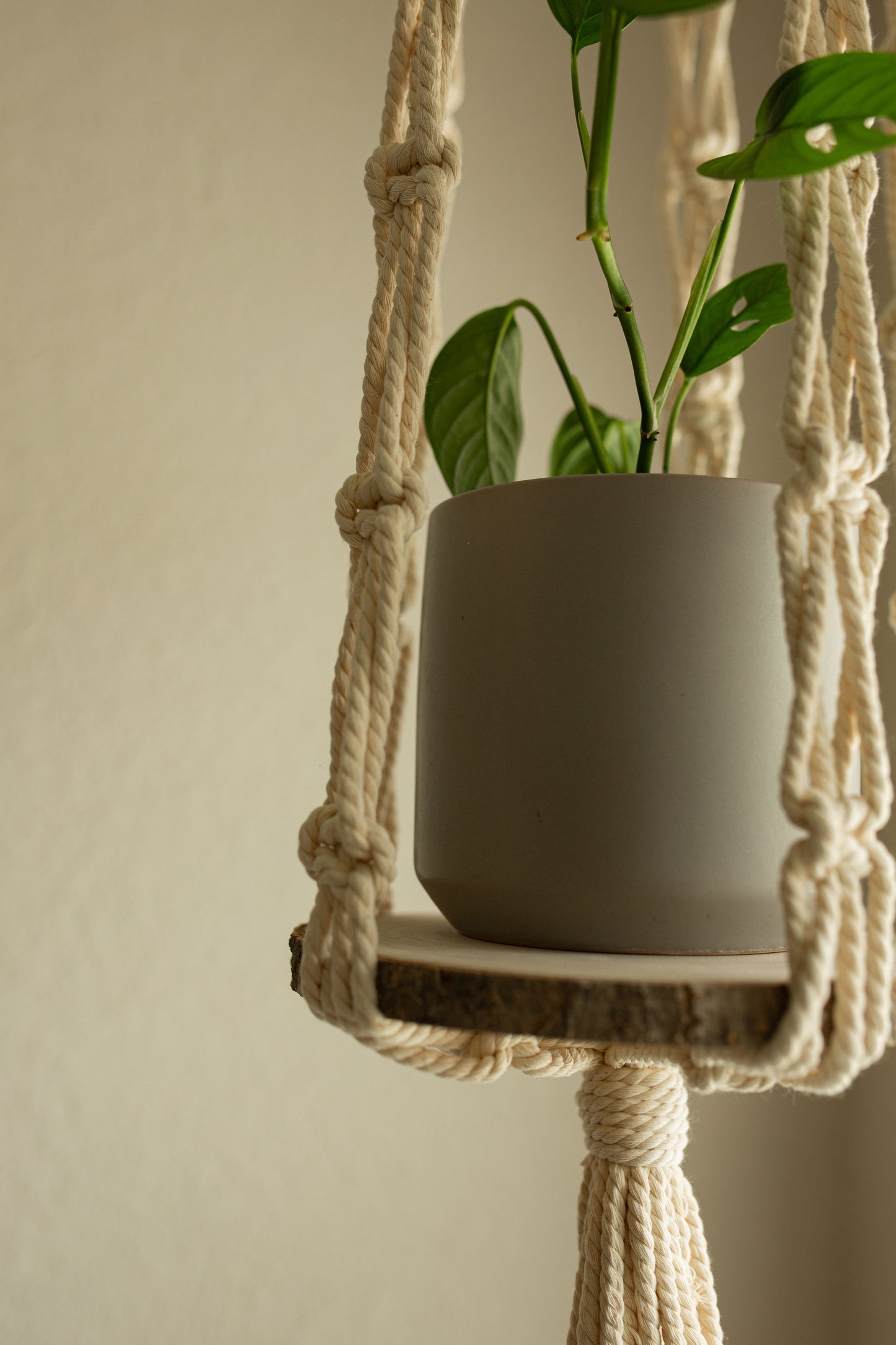 “Hera” Short Plant Hanger