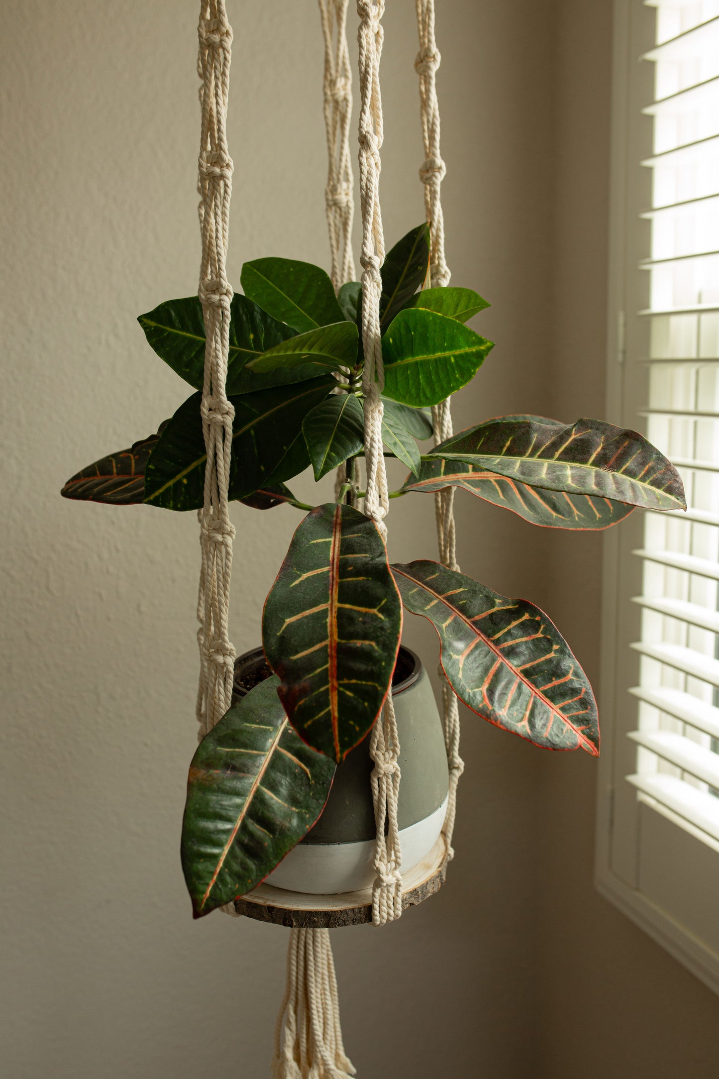 “Hera” Long Plant Hanger