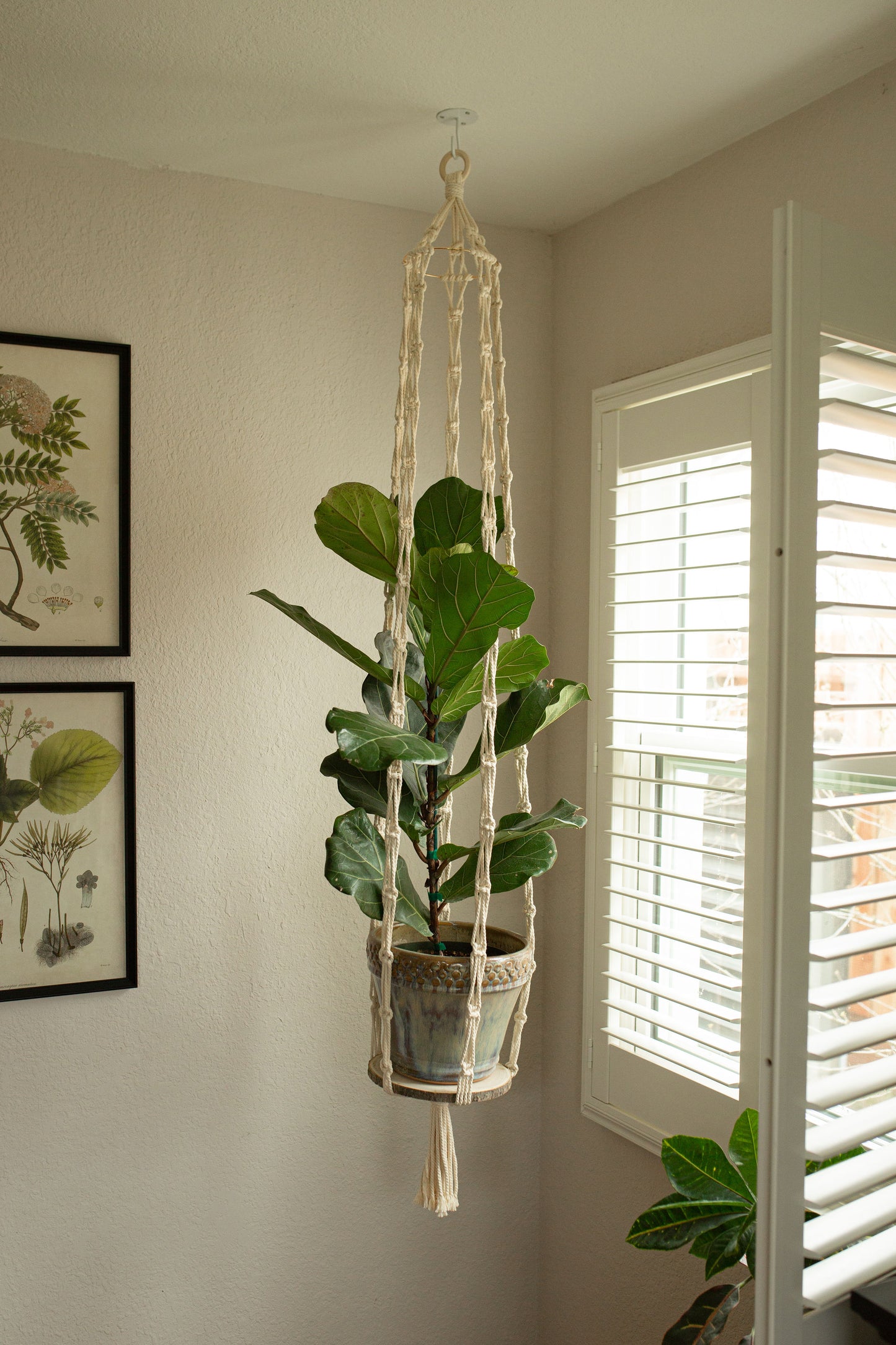 “Hera” Long Plant Hanger