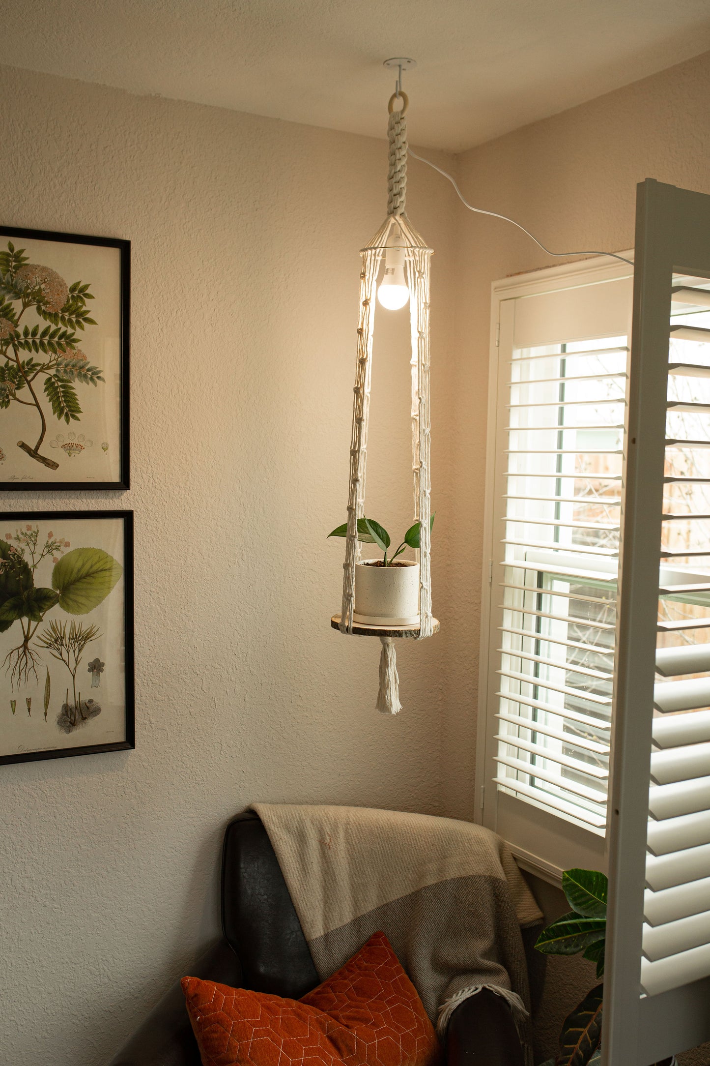 “Auxo” Grow Lamp Plant Hanger