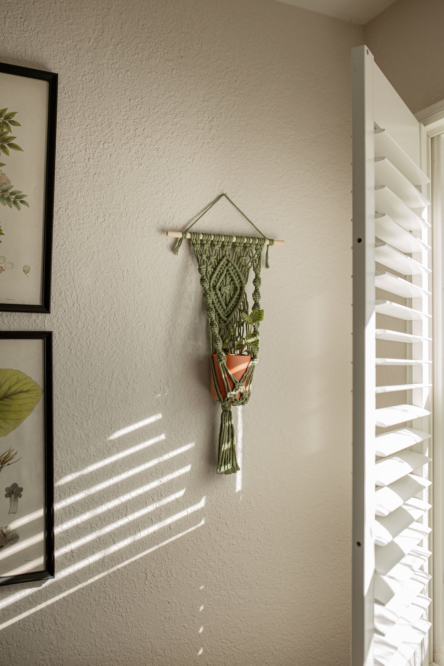 “Hestia” Dowel Plant Hanger