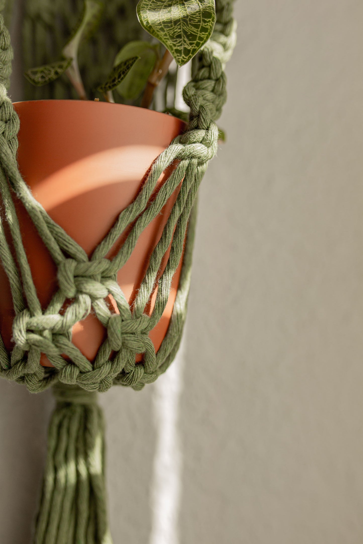 “Hestia” Dowel Plant Hanger