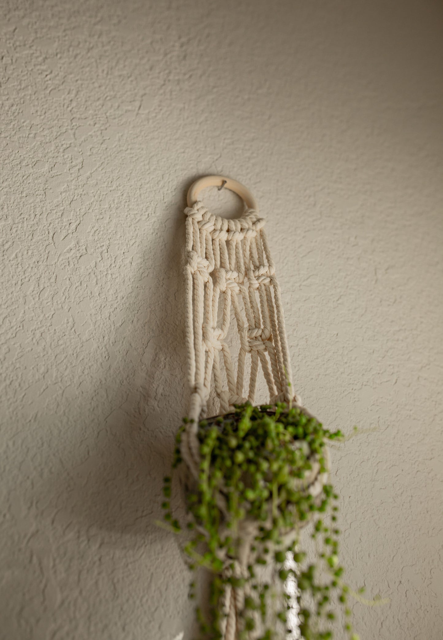 "Cleo" Plant Hanger