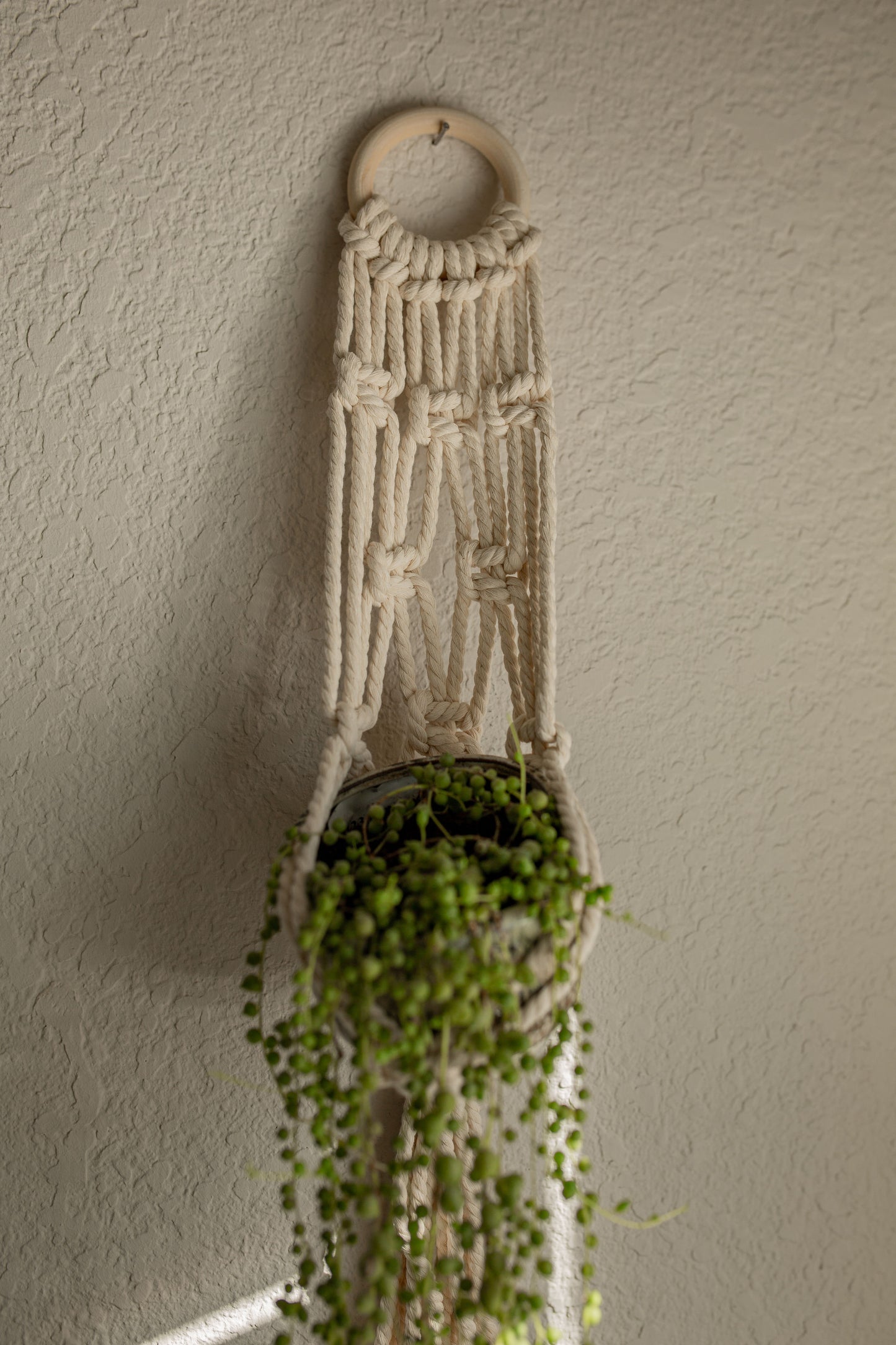 "Cleo" Plant Hanger