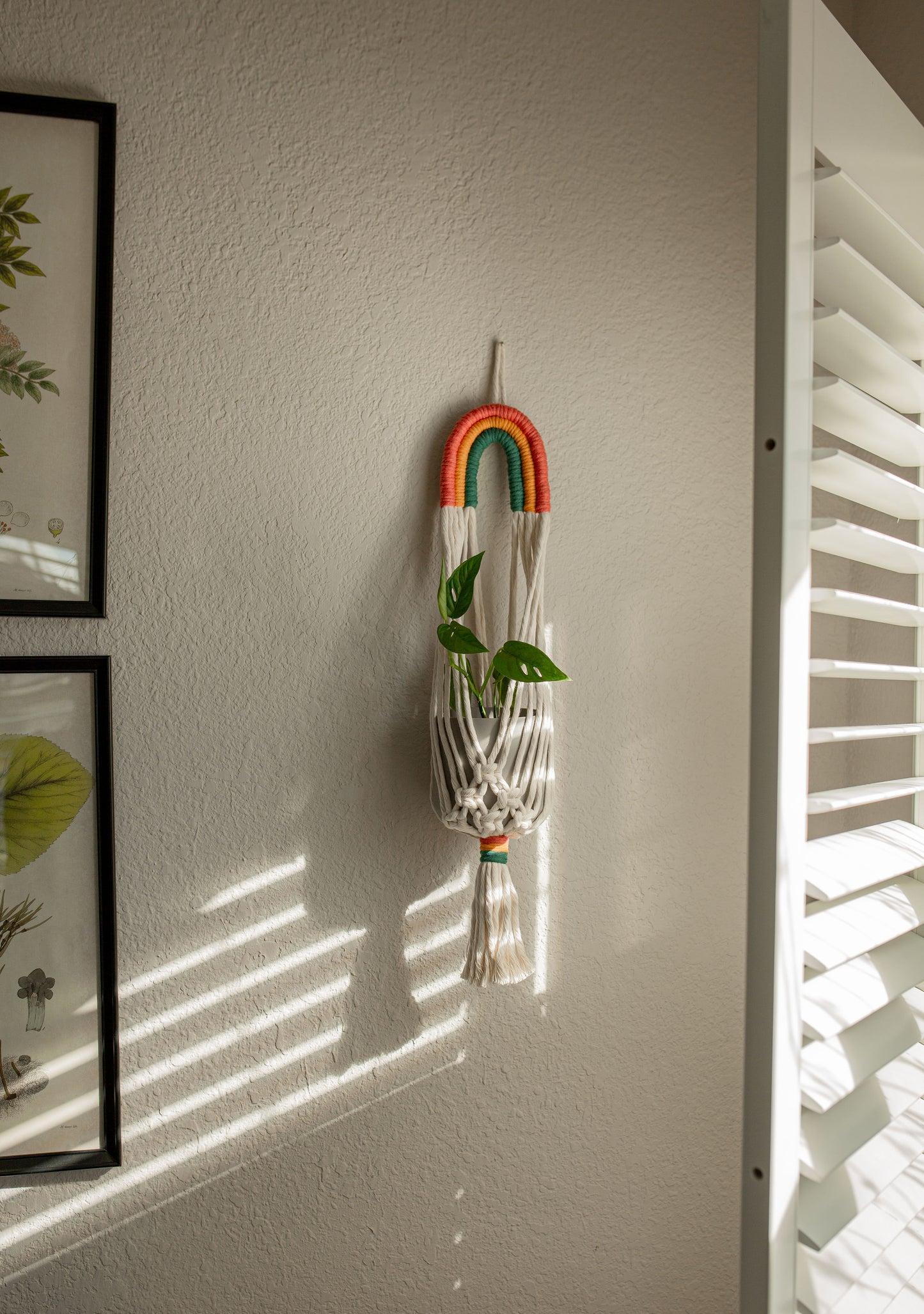 Rainbow Plant Hanger