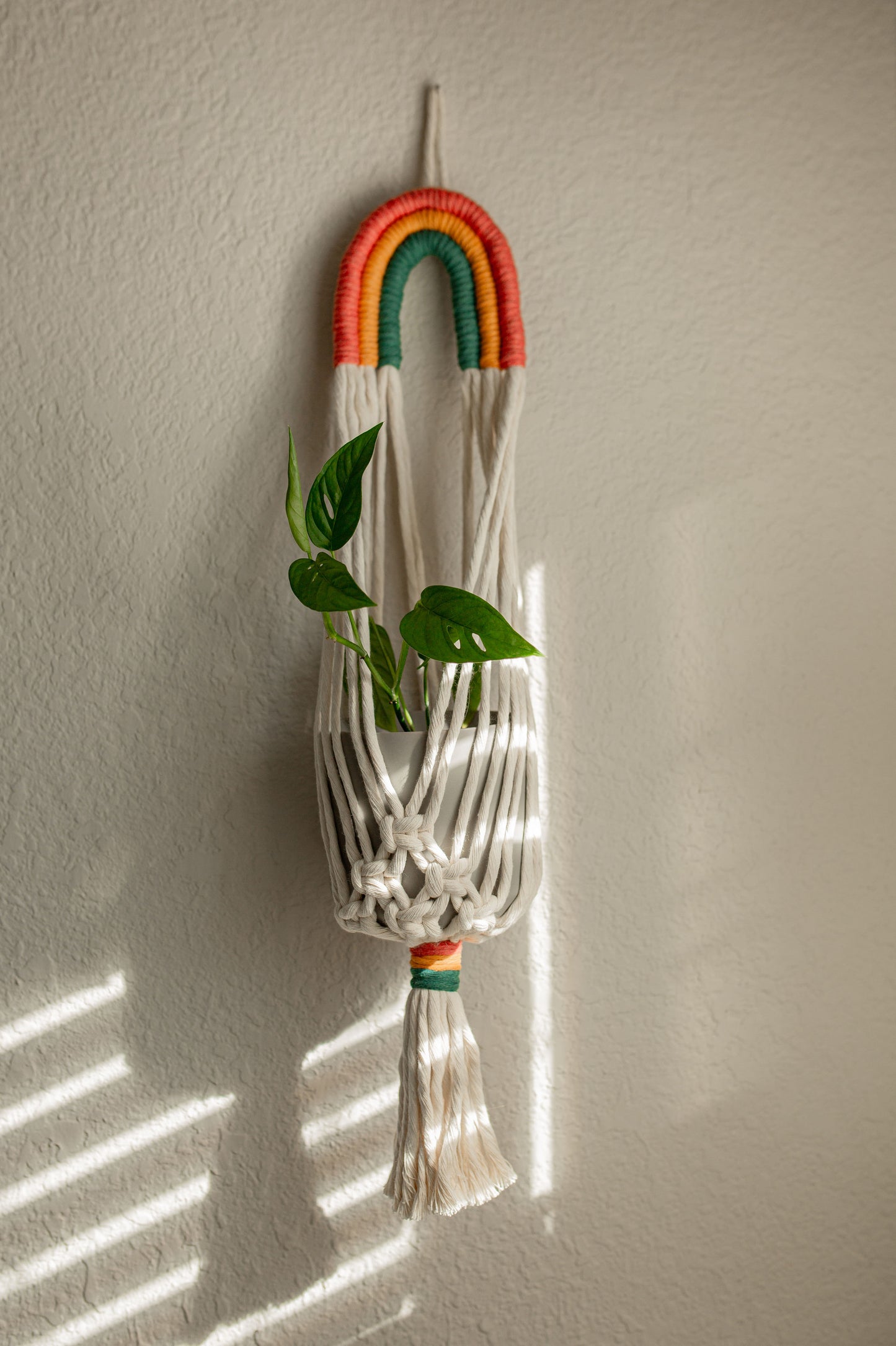 Rainbow Plant Hanger