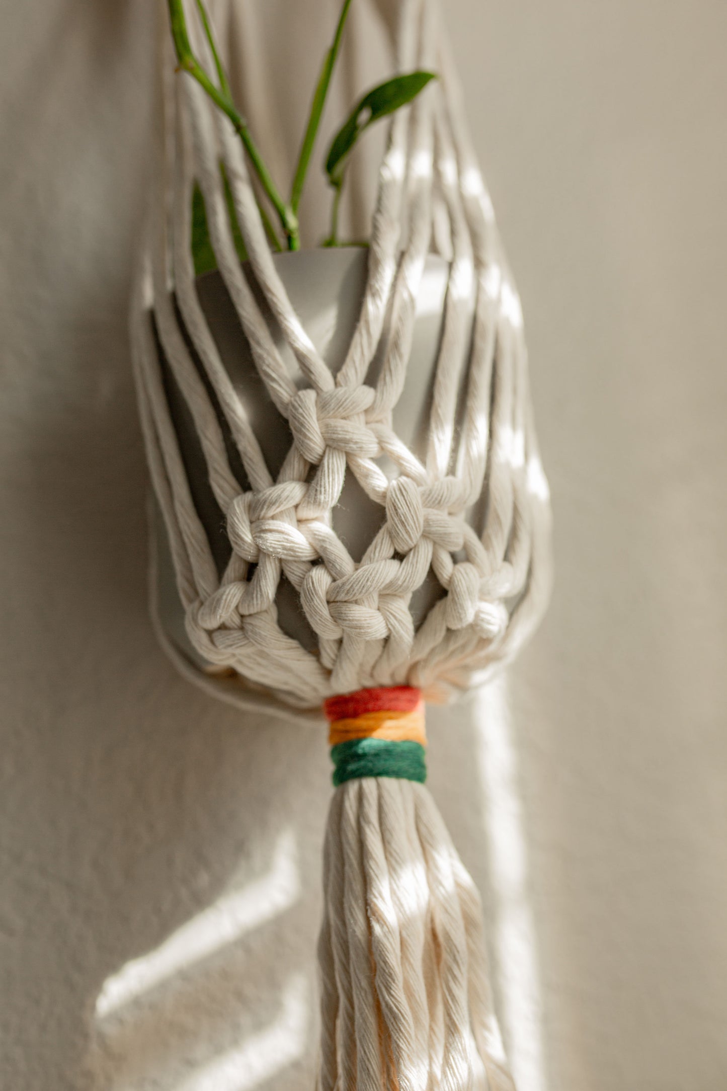 Rainbow Plant Hanger