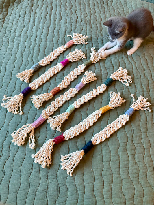 Cat/Small Dog Toys
