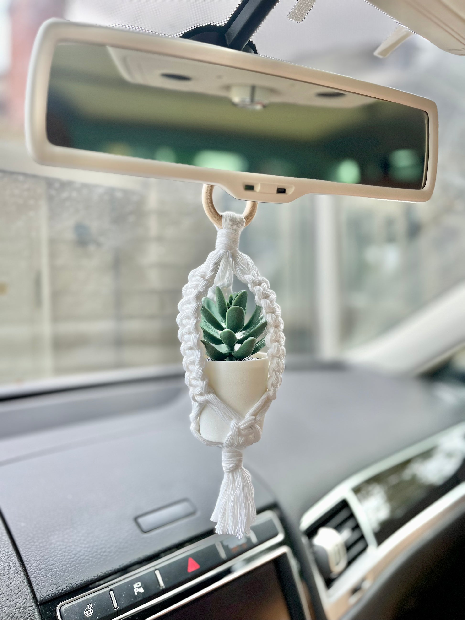 Rear view mirror hanging plant hotsell