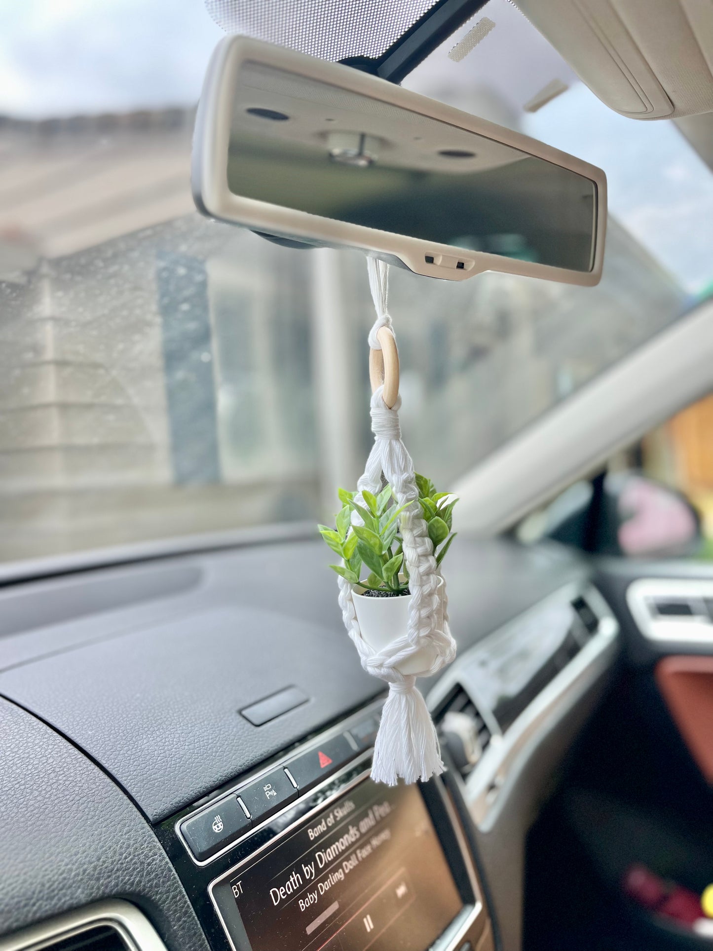 Plant Car Charms