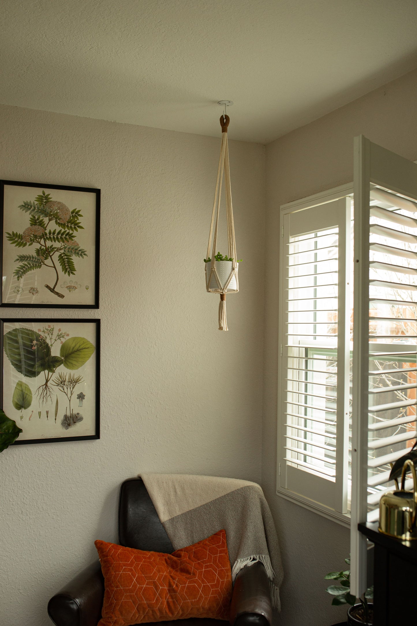 “Apollo” Macramé Plant Hanger