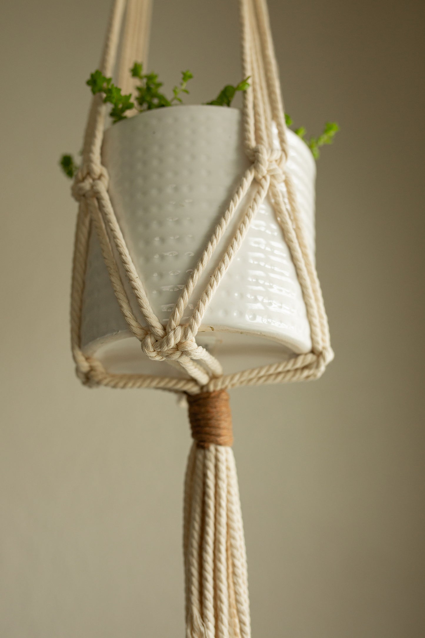 “Apollo” Macramé Plant Hanger