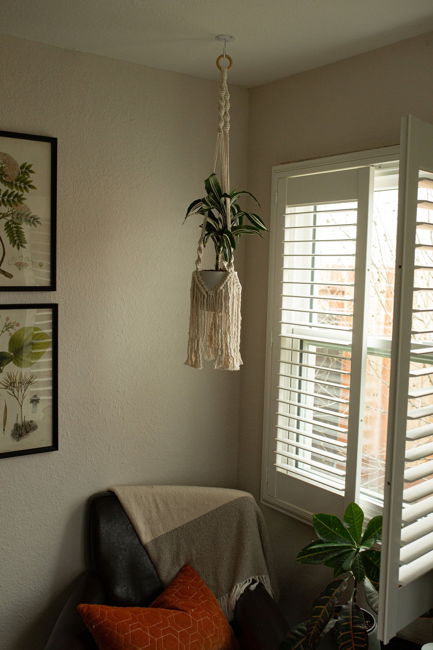 "Dionysus" Plant Hanger