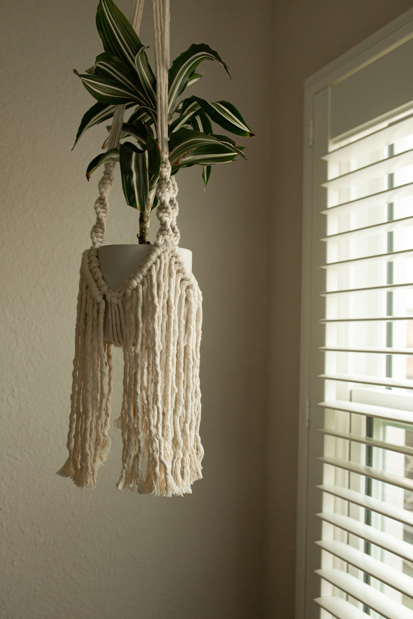 "Dionysus" Plant Hanger