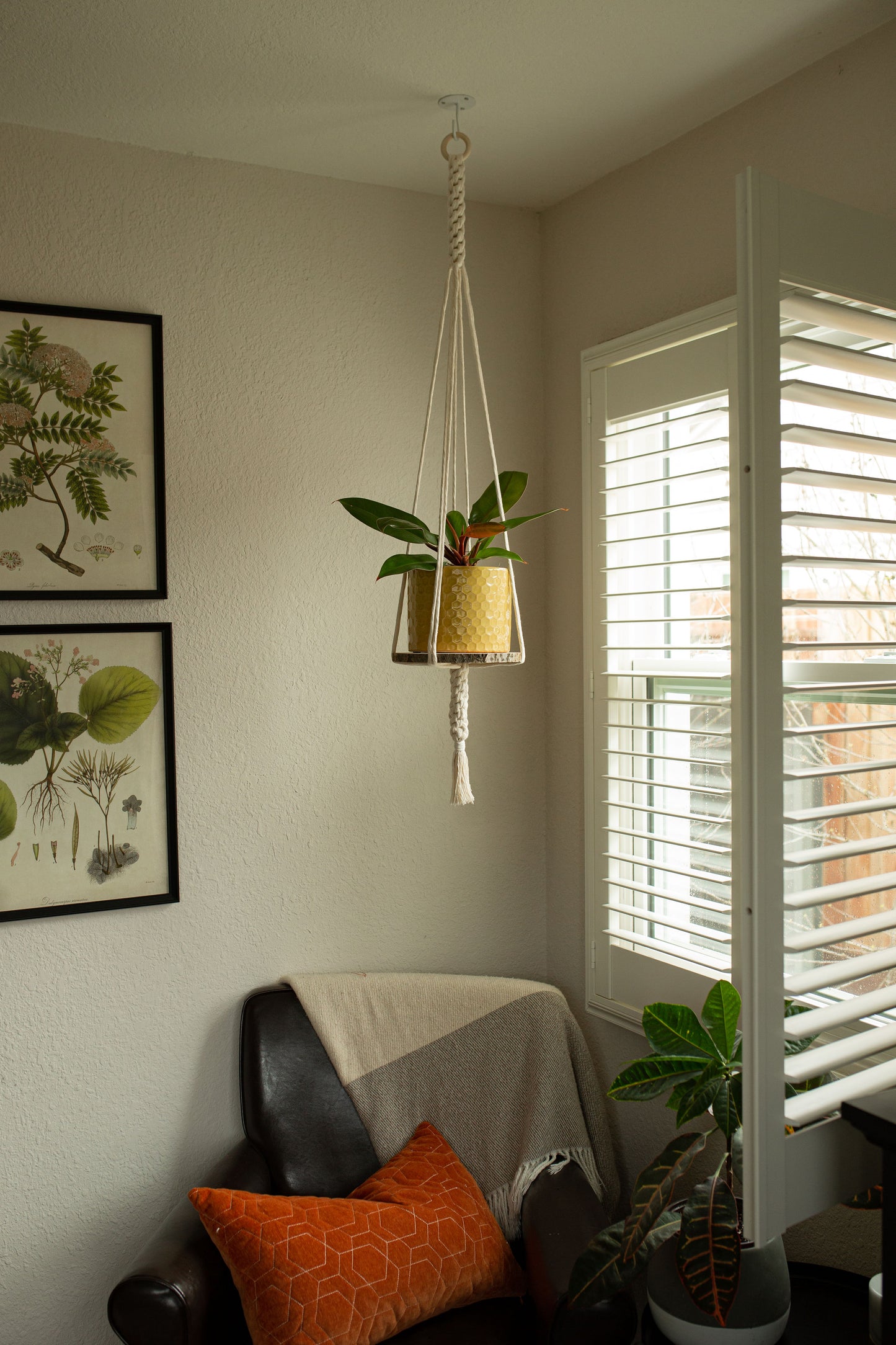 “Zeus” Macramé Plant Hanger
