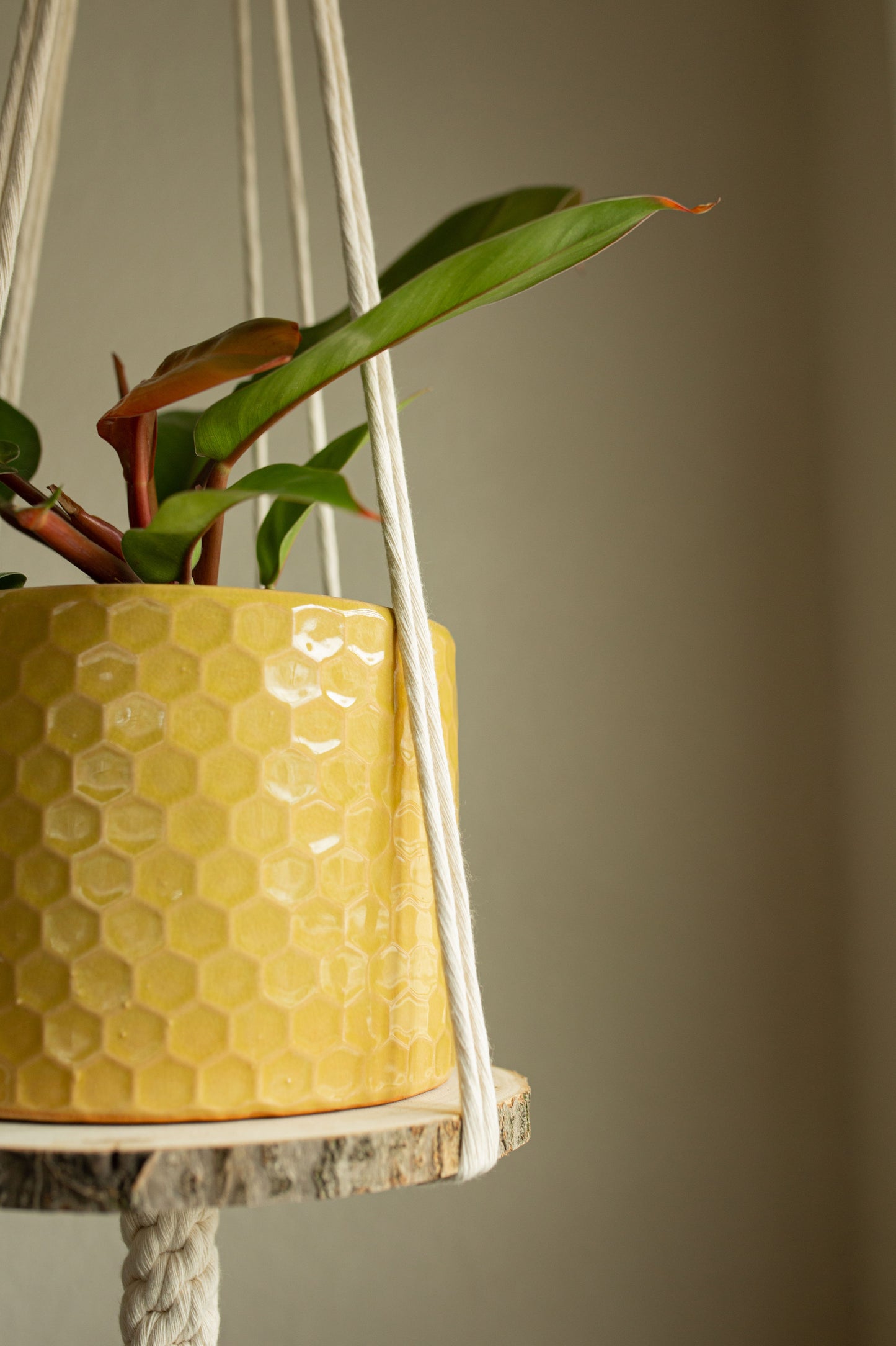 “Zeus” Macramé Plant Hanger