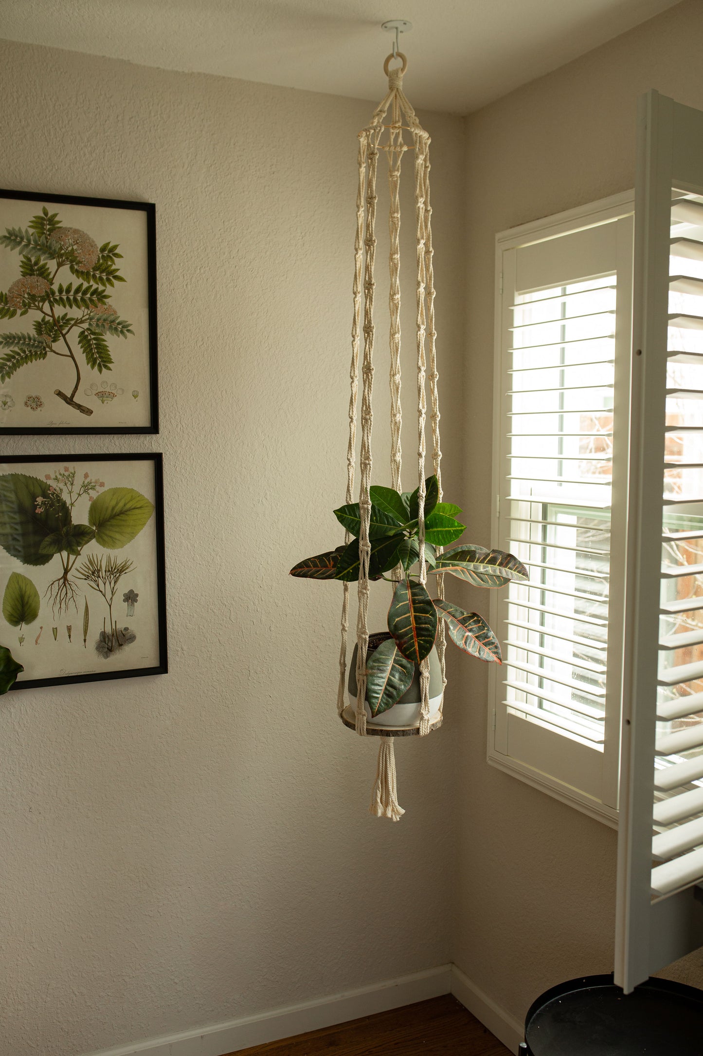 “Hera” Long Plant Hanger