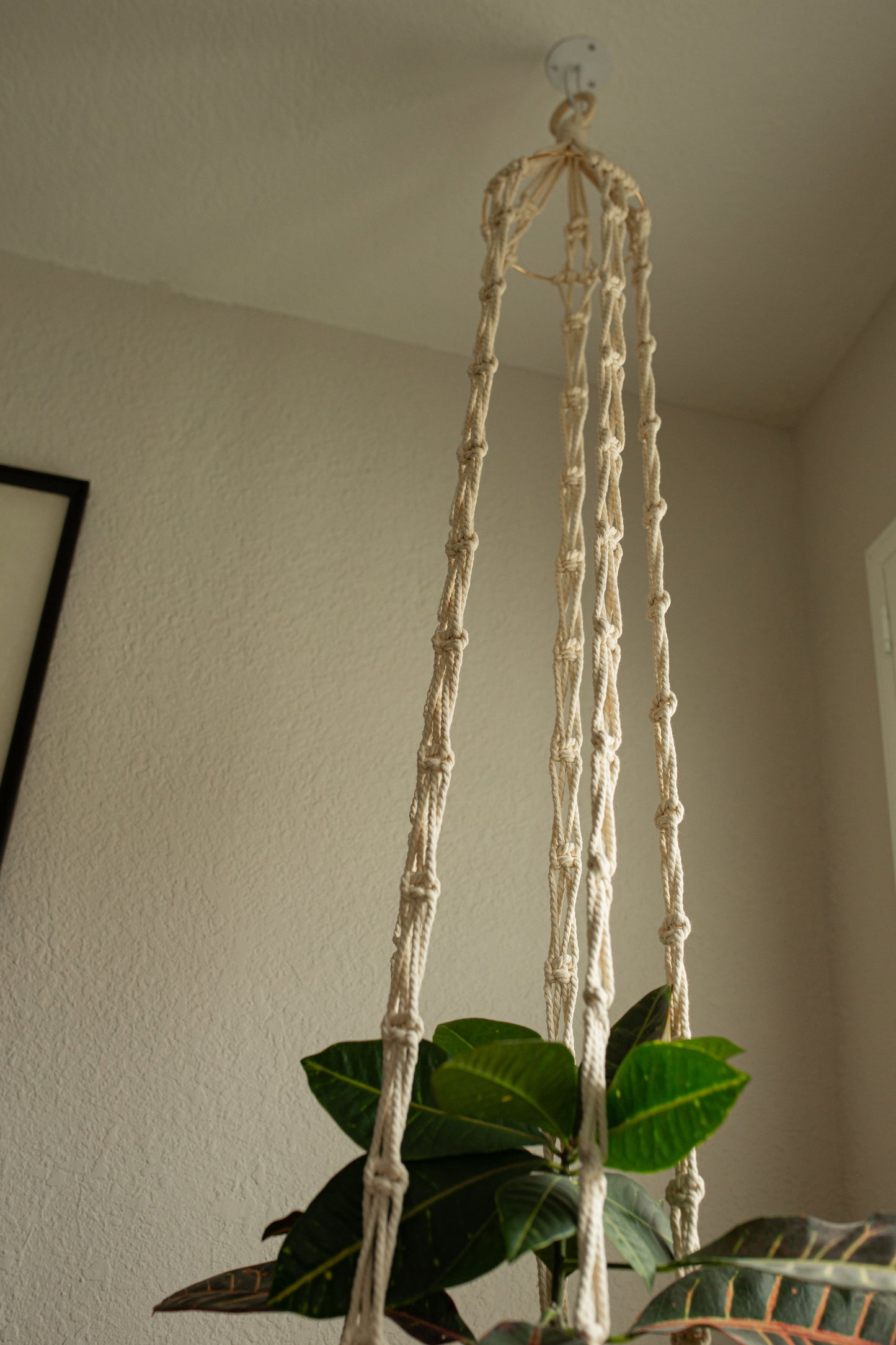 “Hera” Long Plant Hanger