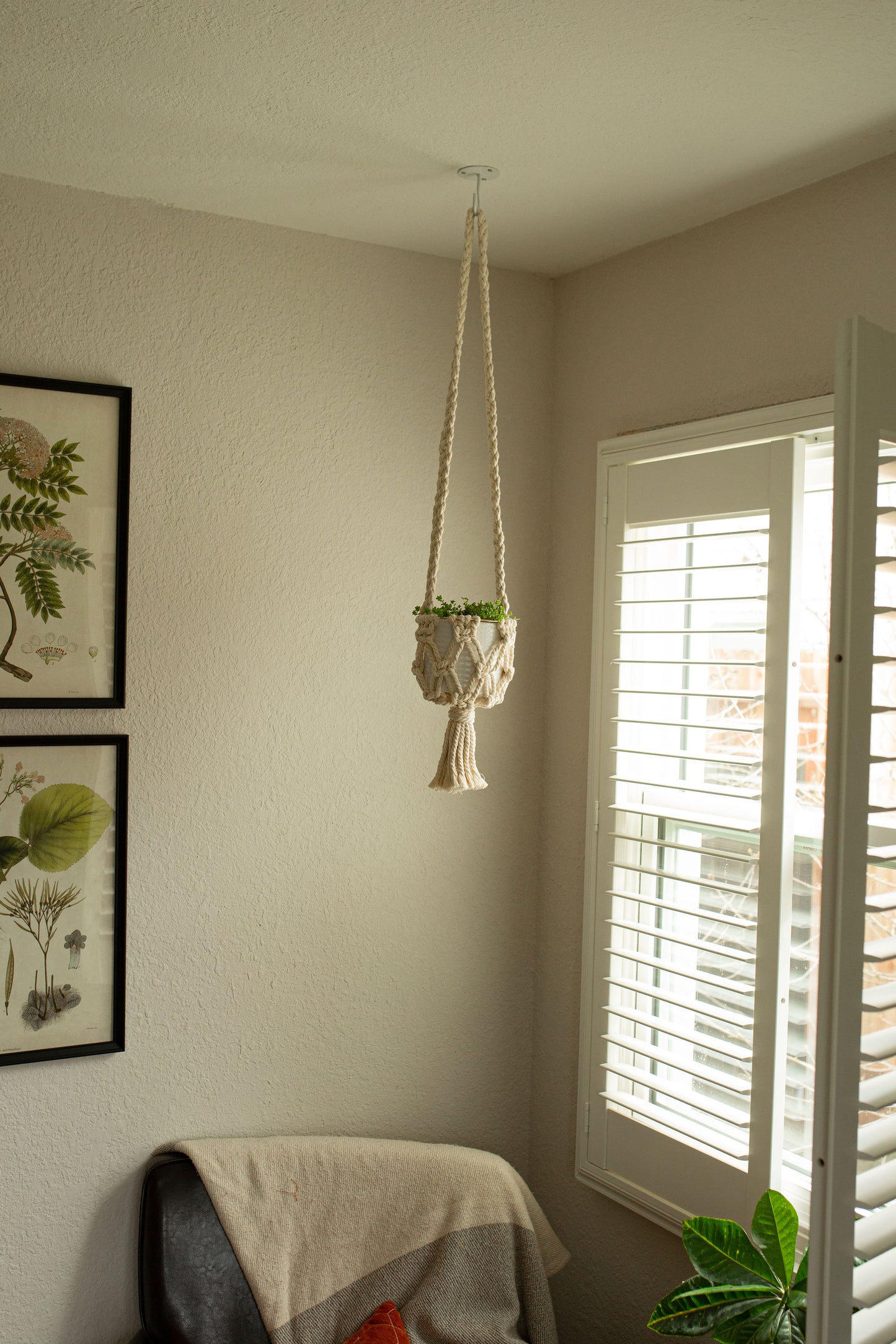 “Leander” Macramé Plant Hanger