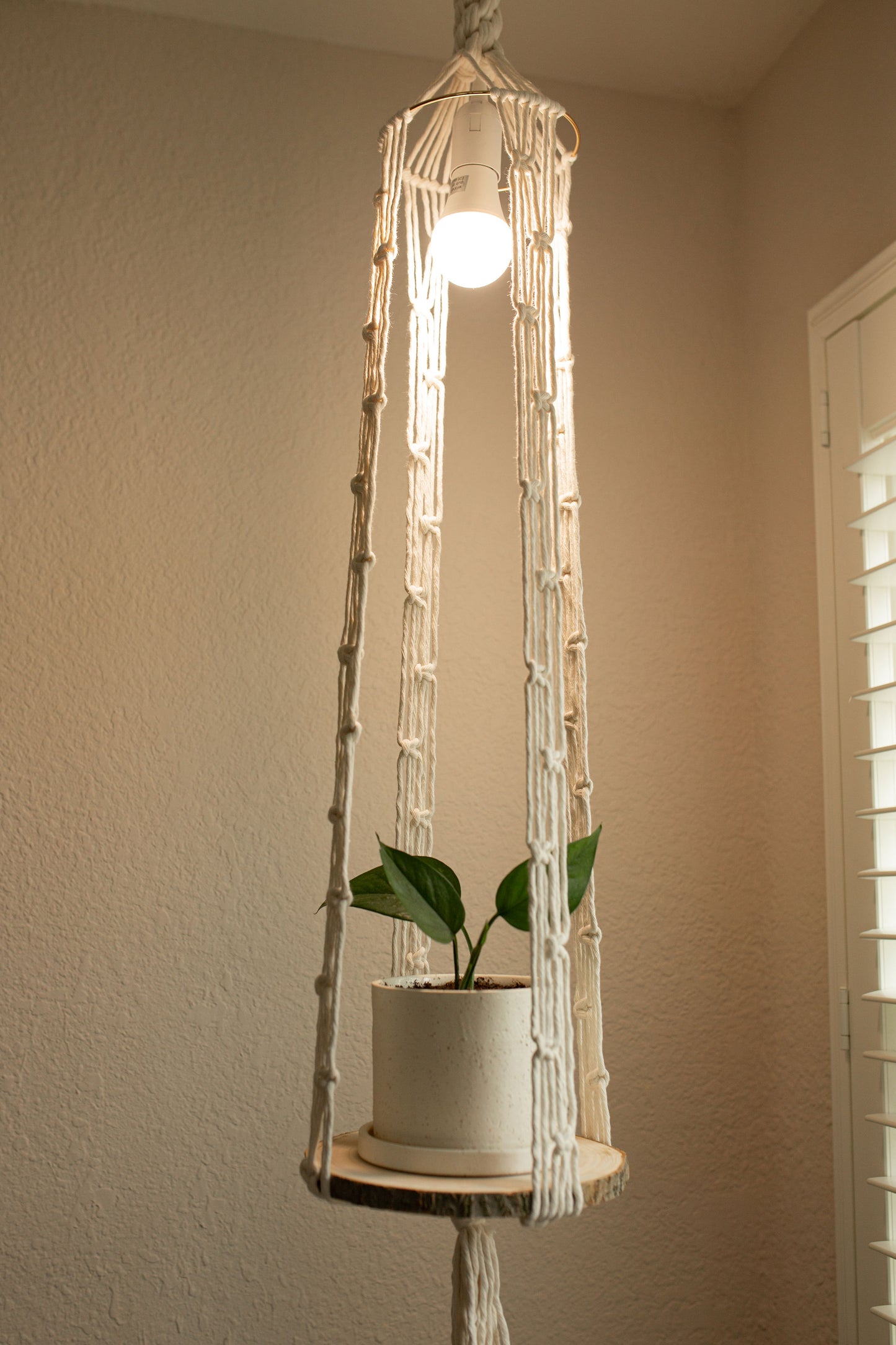 “Auxo” Grow Lamp Plant Hanger