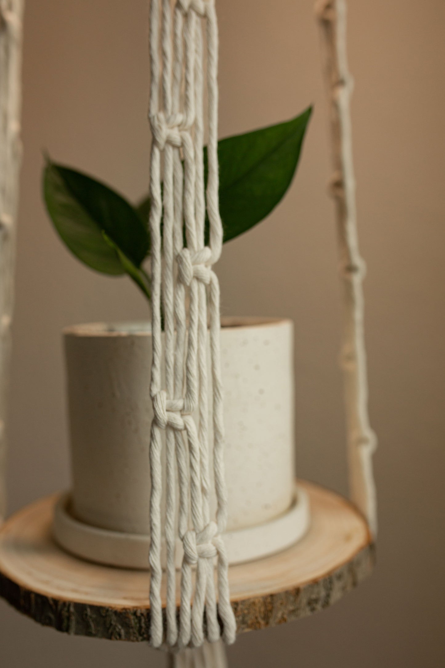 “Auxo” Grow Lamp Plant Hanger