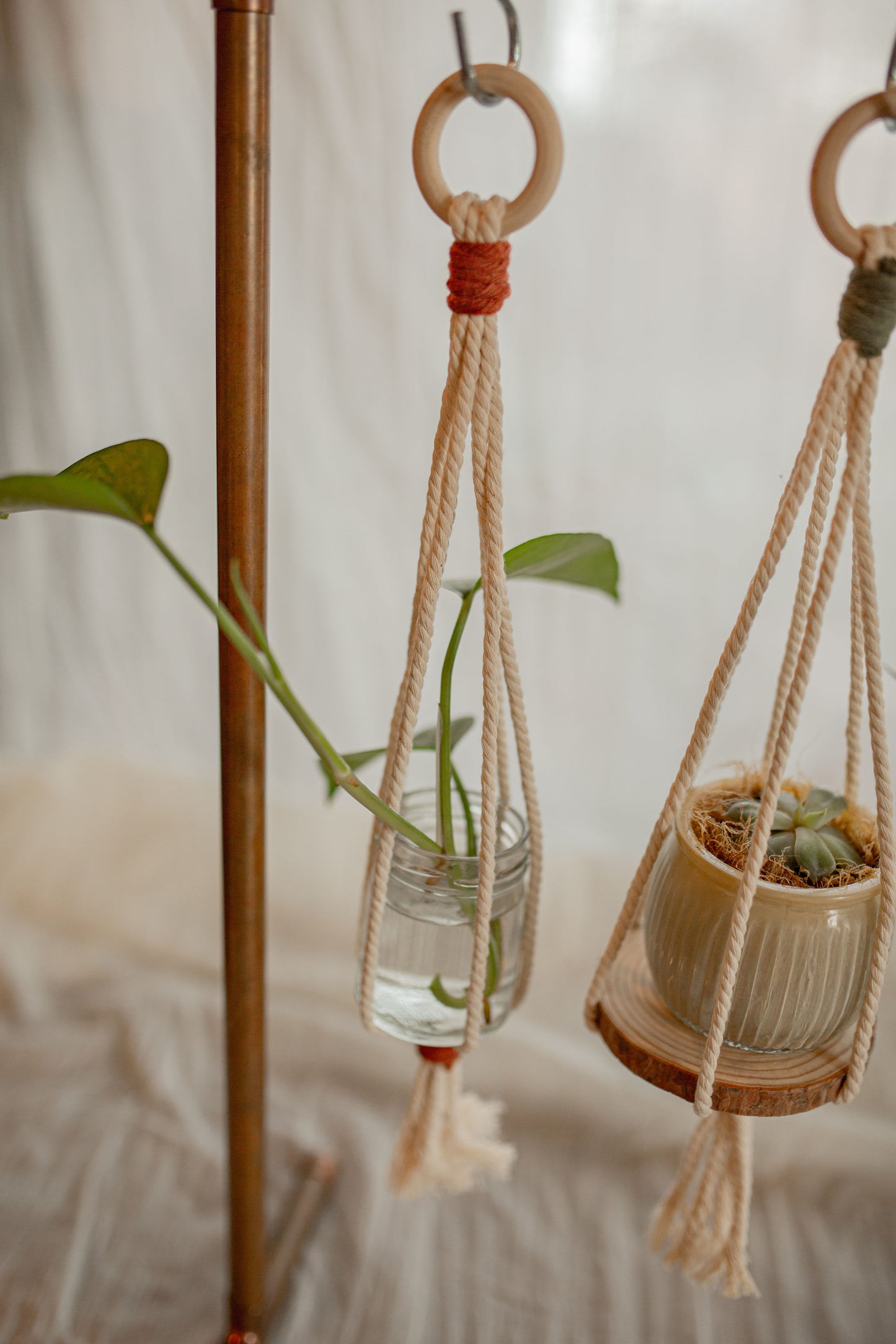 Mini Plant Hangers