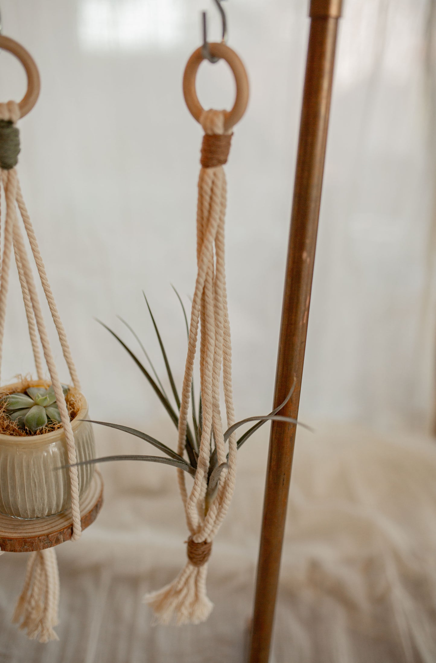 Mini Plant Hangers