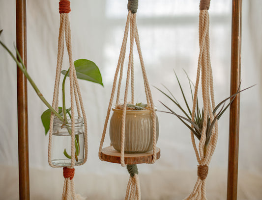 Mini Plant Hangers