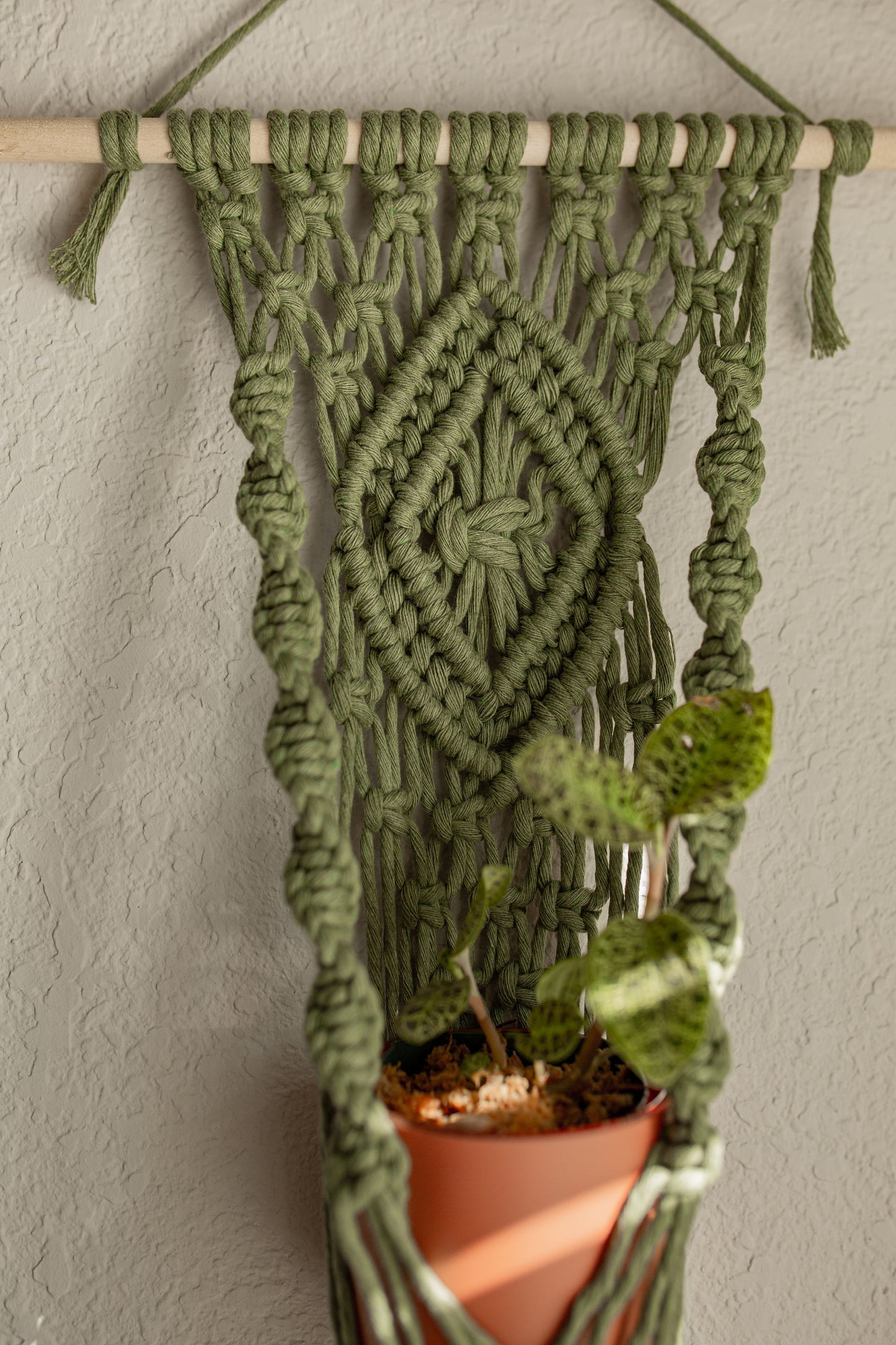 “Hestia” Dowel Plant Hanger