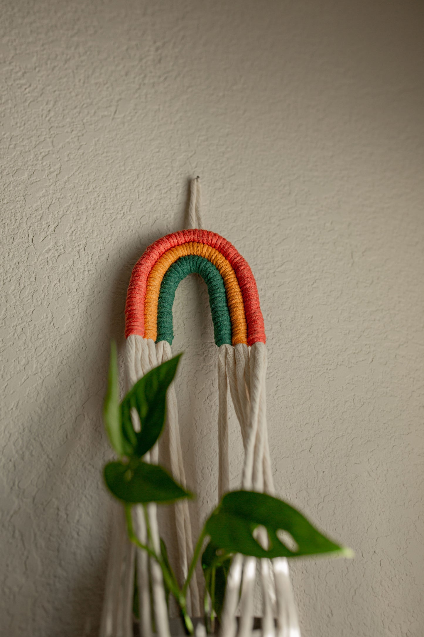 Rainbow Plant Hanger