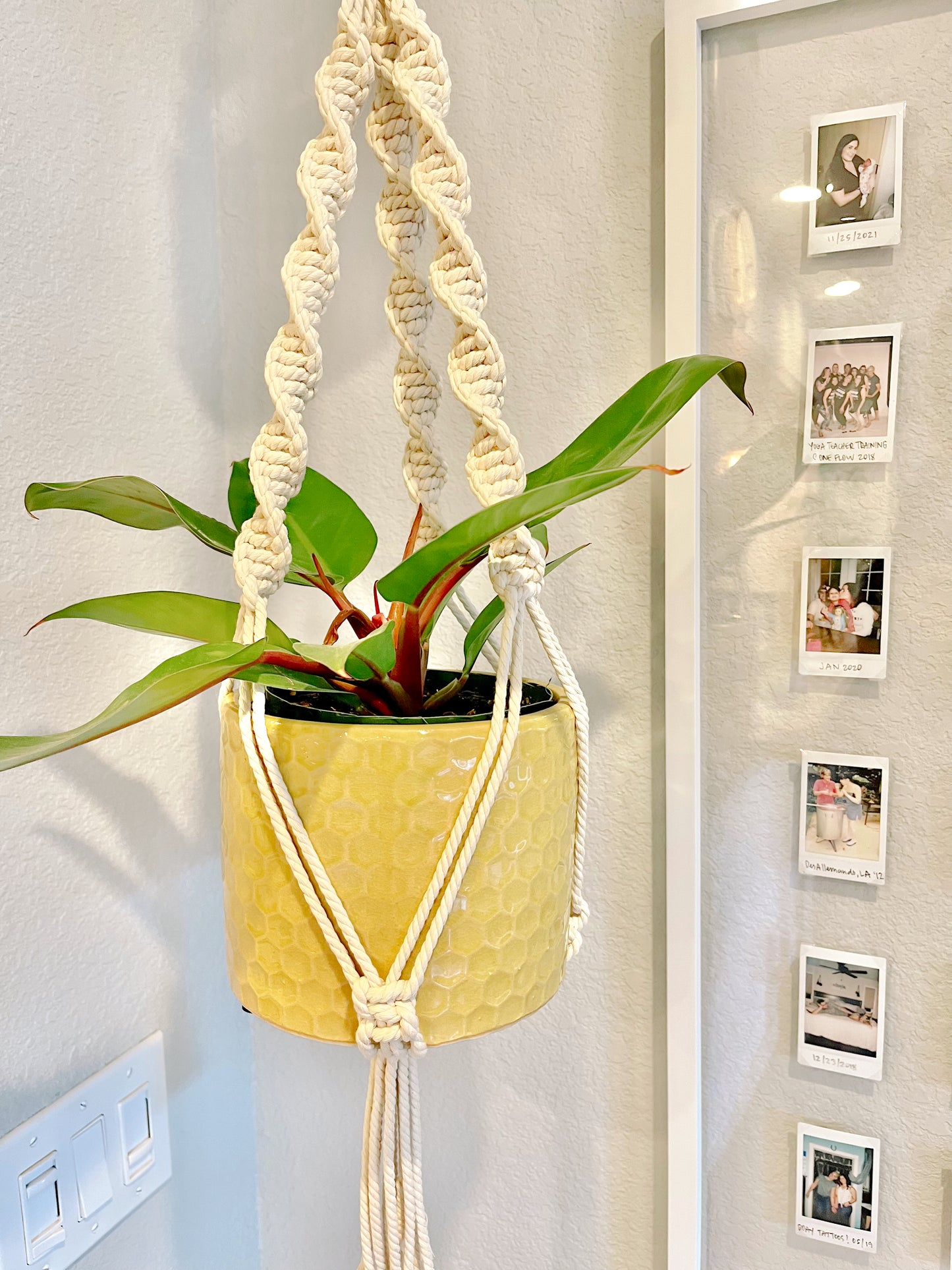 “Rhea” Macramé Dbl Plant Hanger