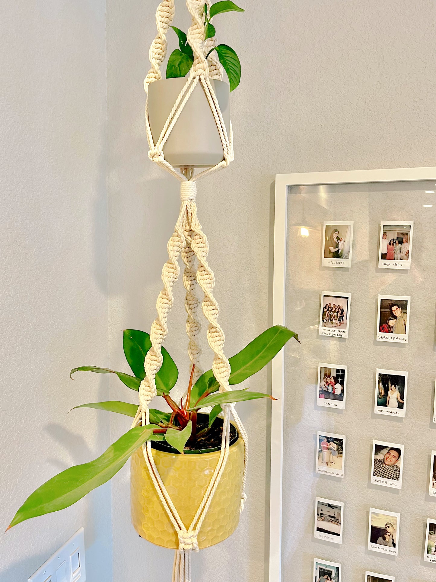 “Rhea” Macramé Dbl Plant Hanger