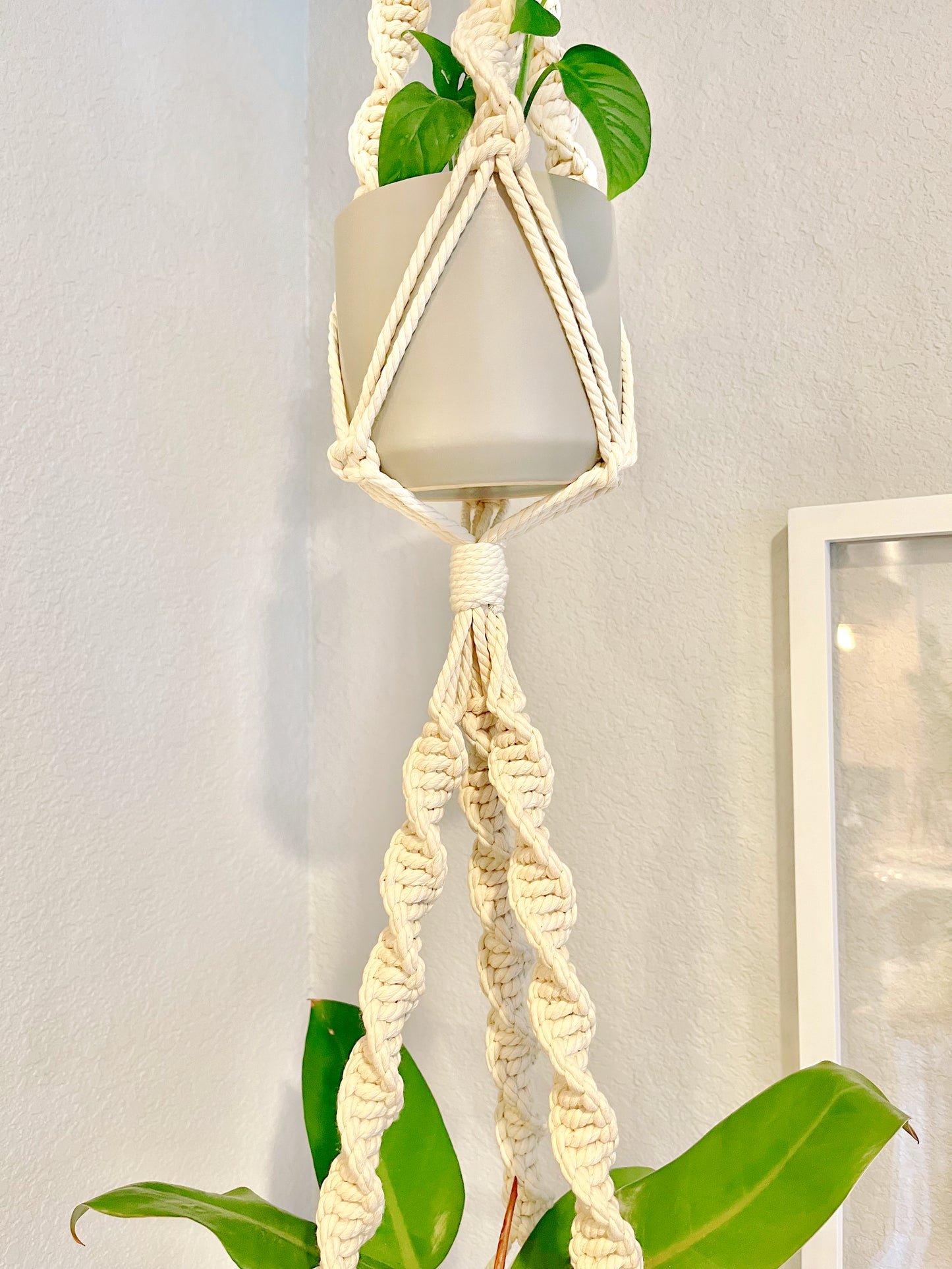 “Rhea” Macramé Dbl Plant Hanger
